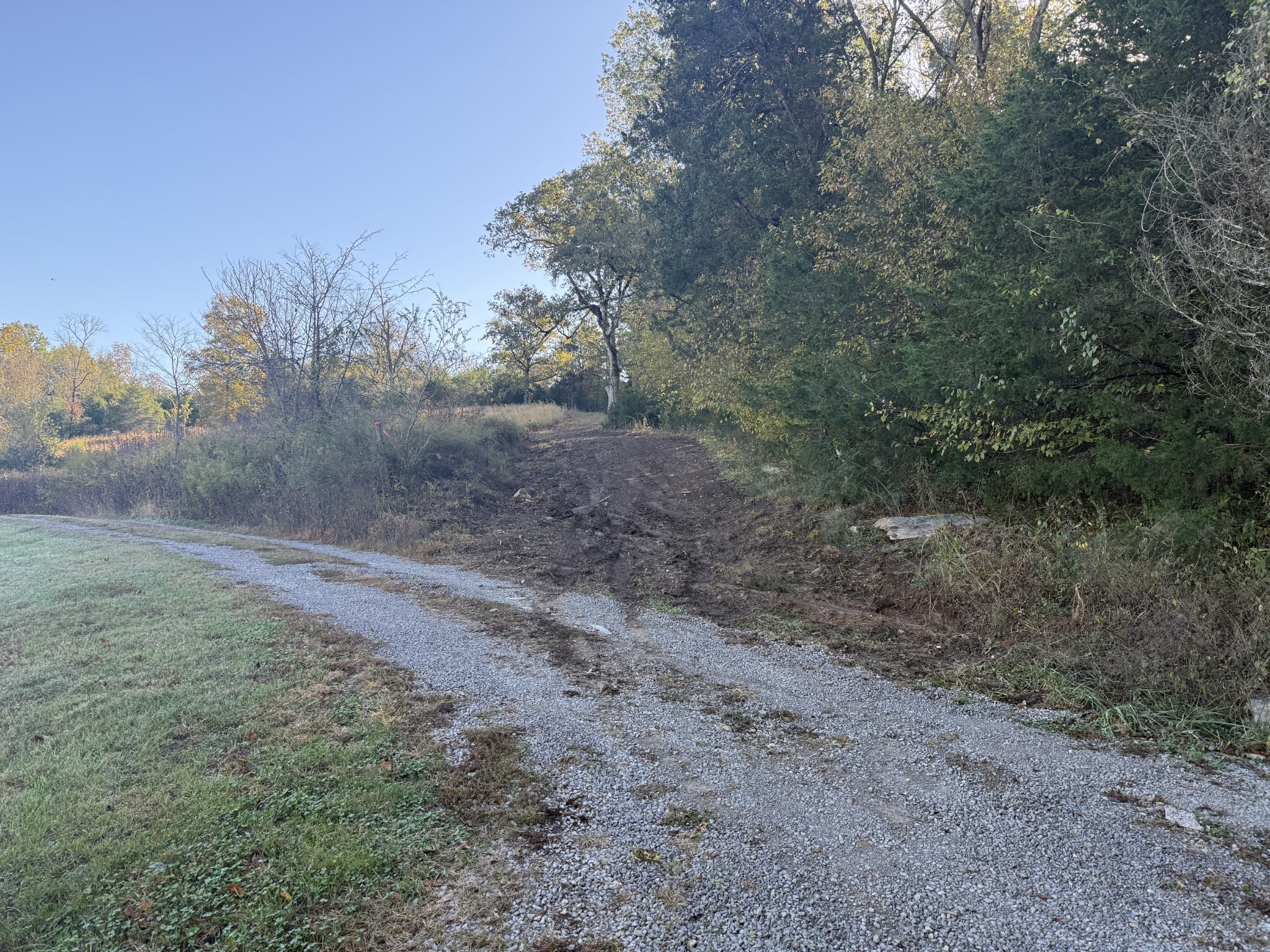 0 Moore Hollow Rd Property Photo 3