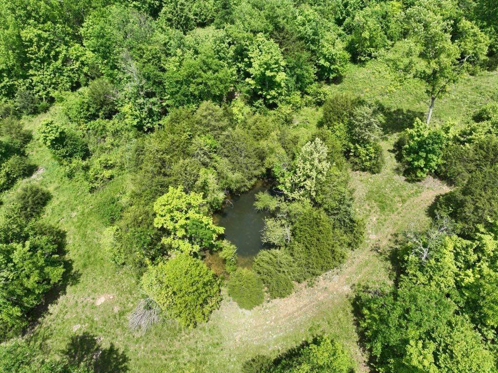 0 Moore Hollow Rd Property Photo 9