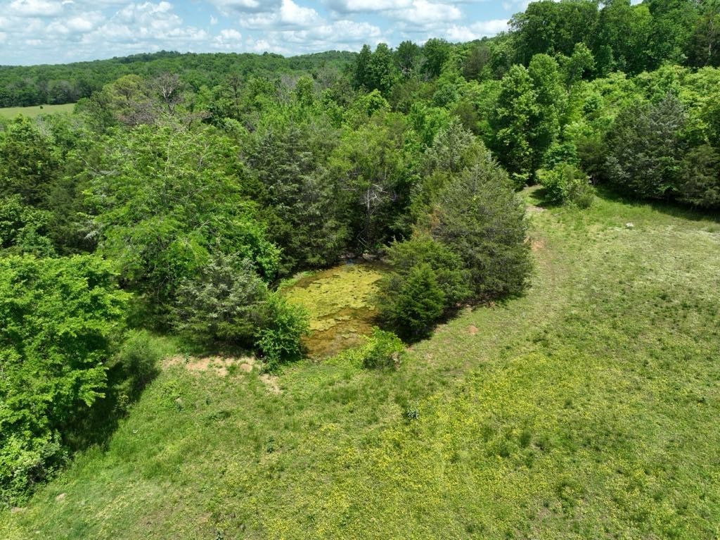 0 Moore Hollow Rd Property Photo 10