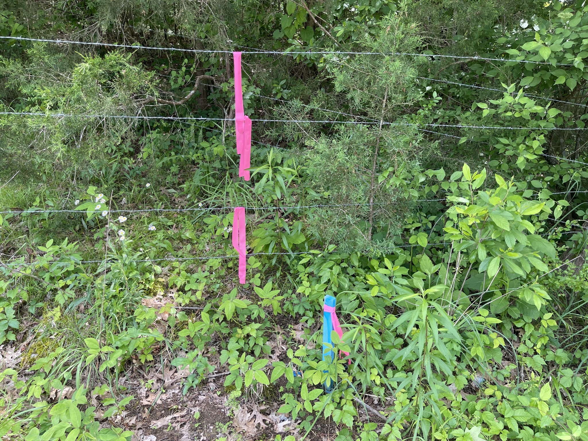 0 Moore Hollow Rd Property Photo 11