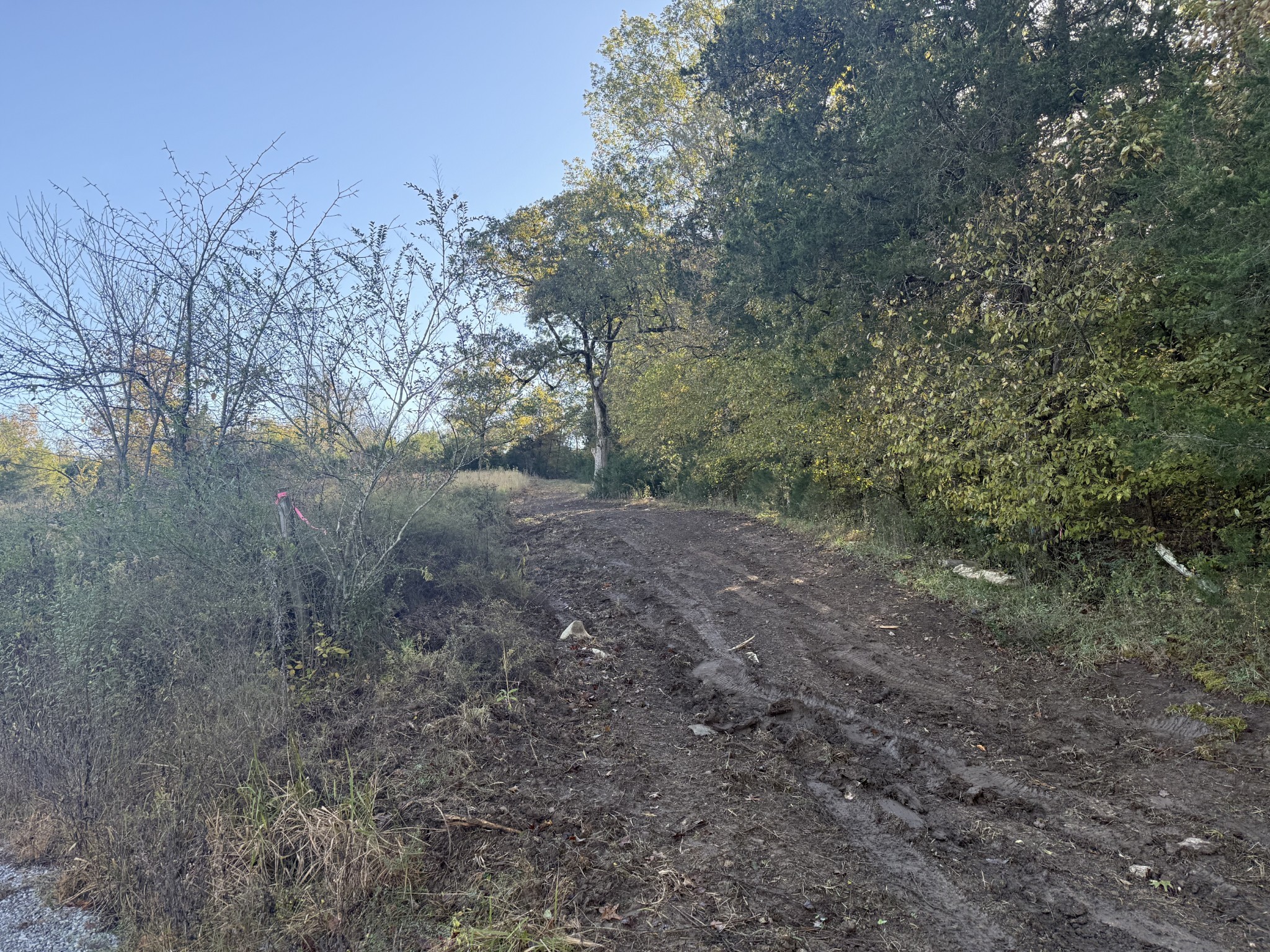 0 Moore Hollow Rd Property Photo 14