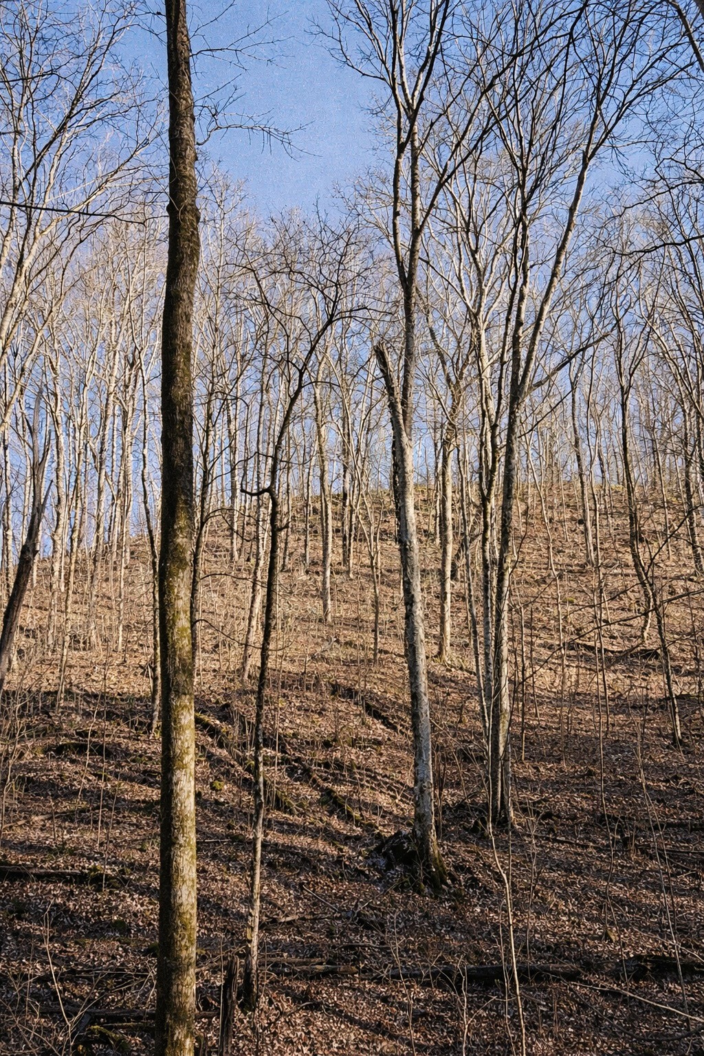 0 Hollis Creek Rd S Property Photo 17