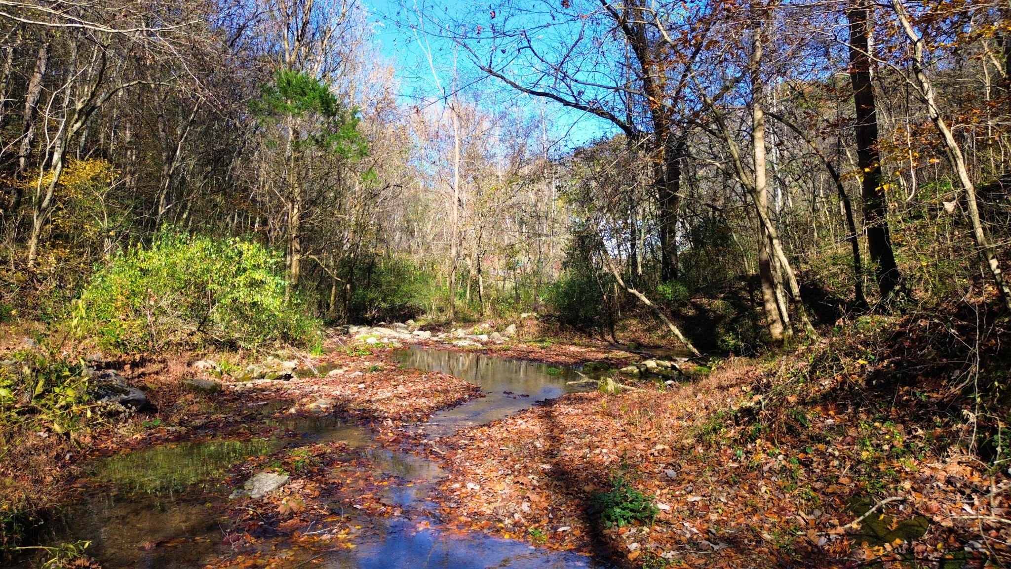 0 Hollis Creek Rd S Property Photo 21