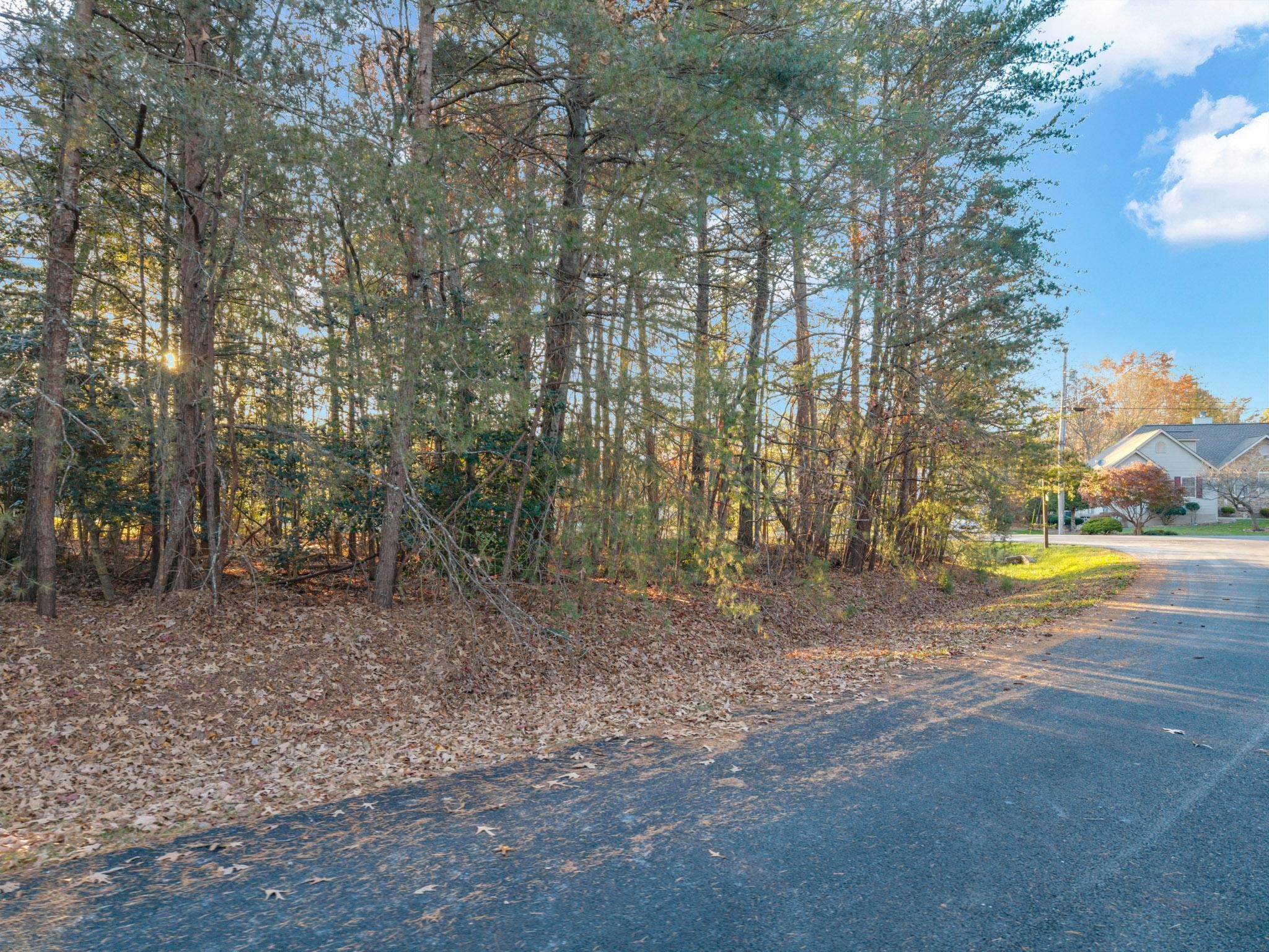 19 Inwood Dr Property Photo 4
