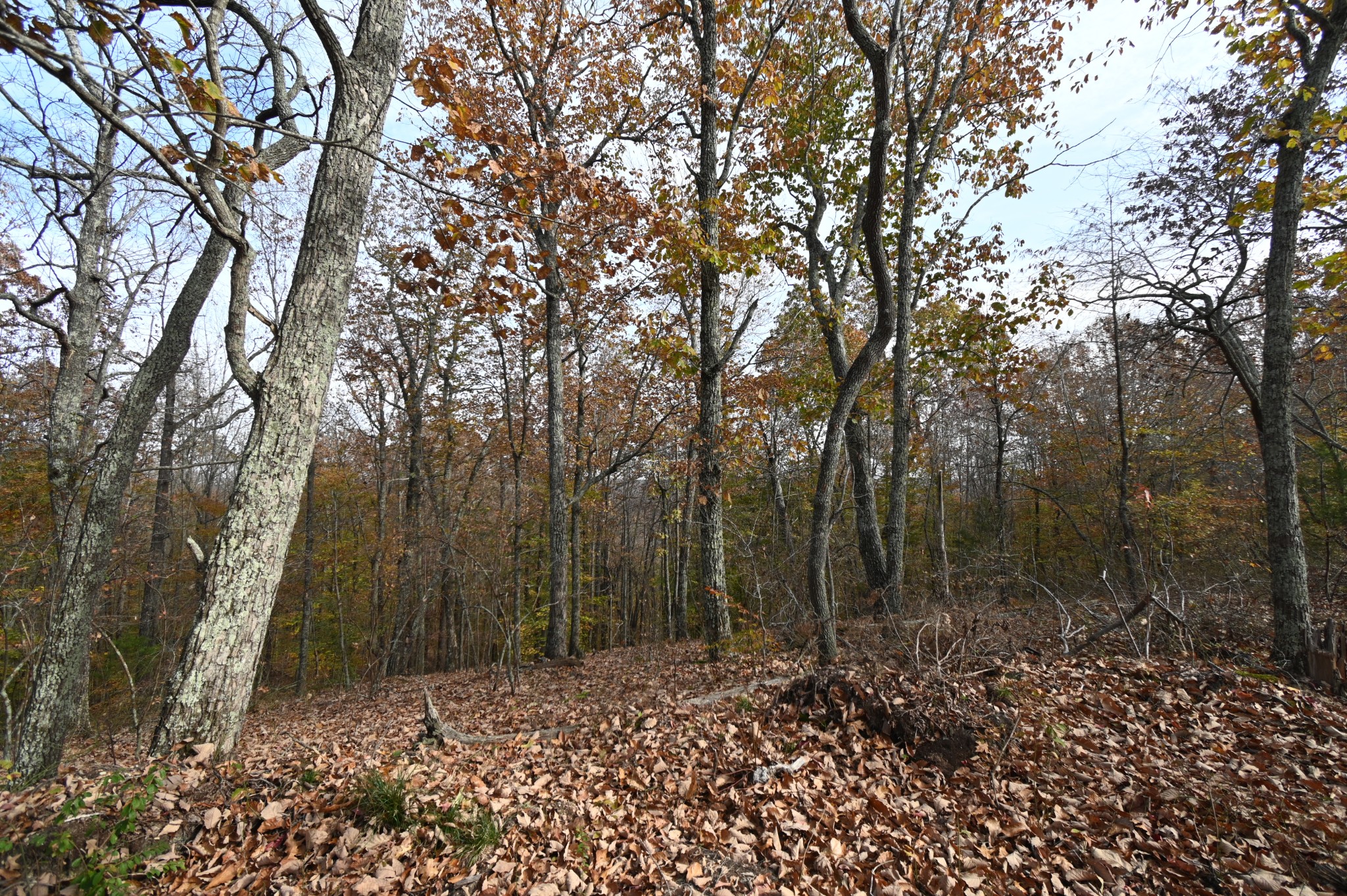 2383 Airport Ridge Rd Property Photo 21