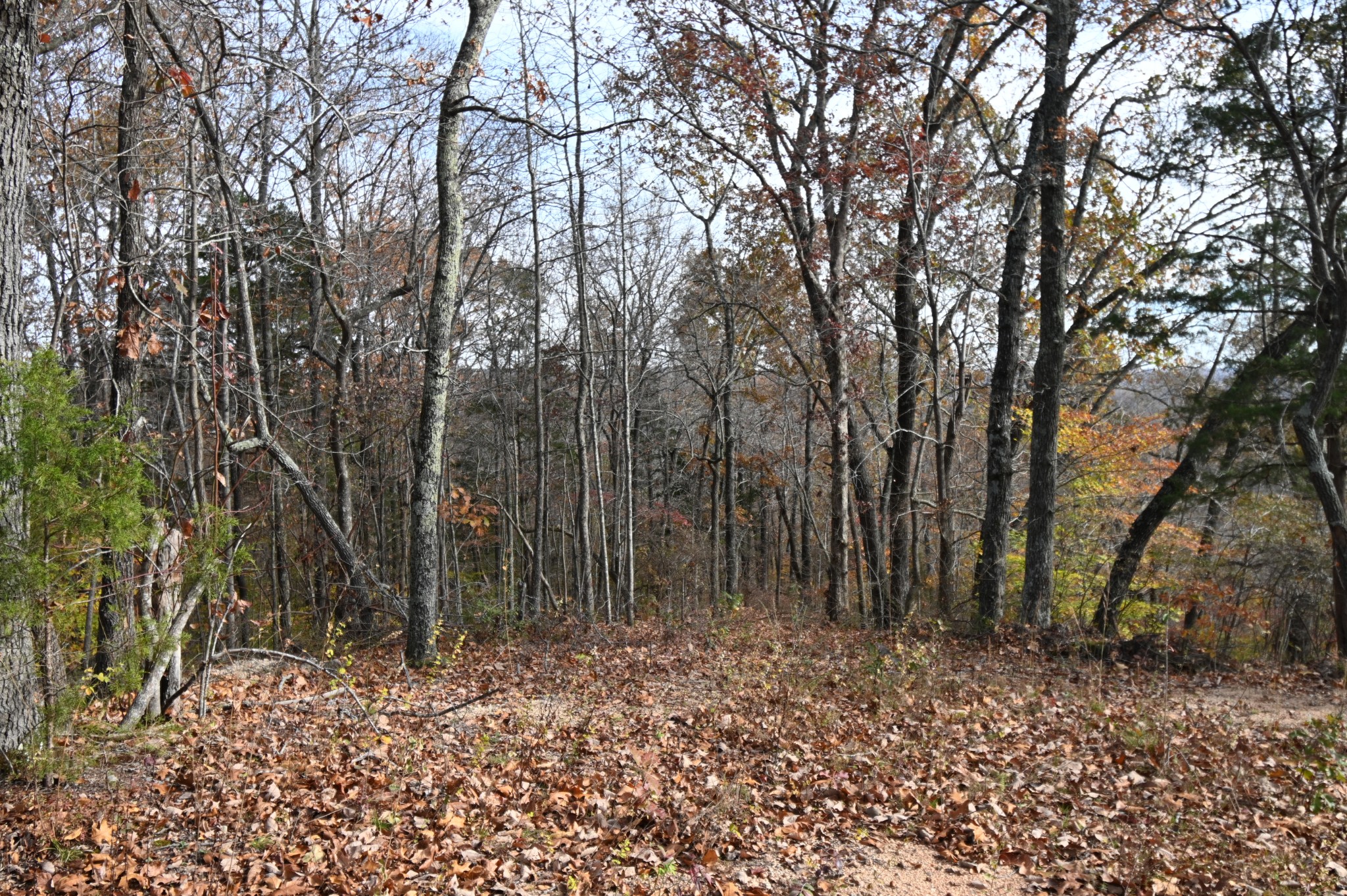 2383 Airport Ridge Rd Property Photo 24