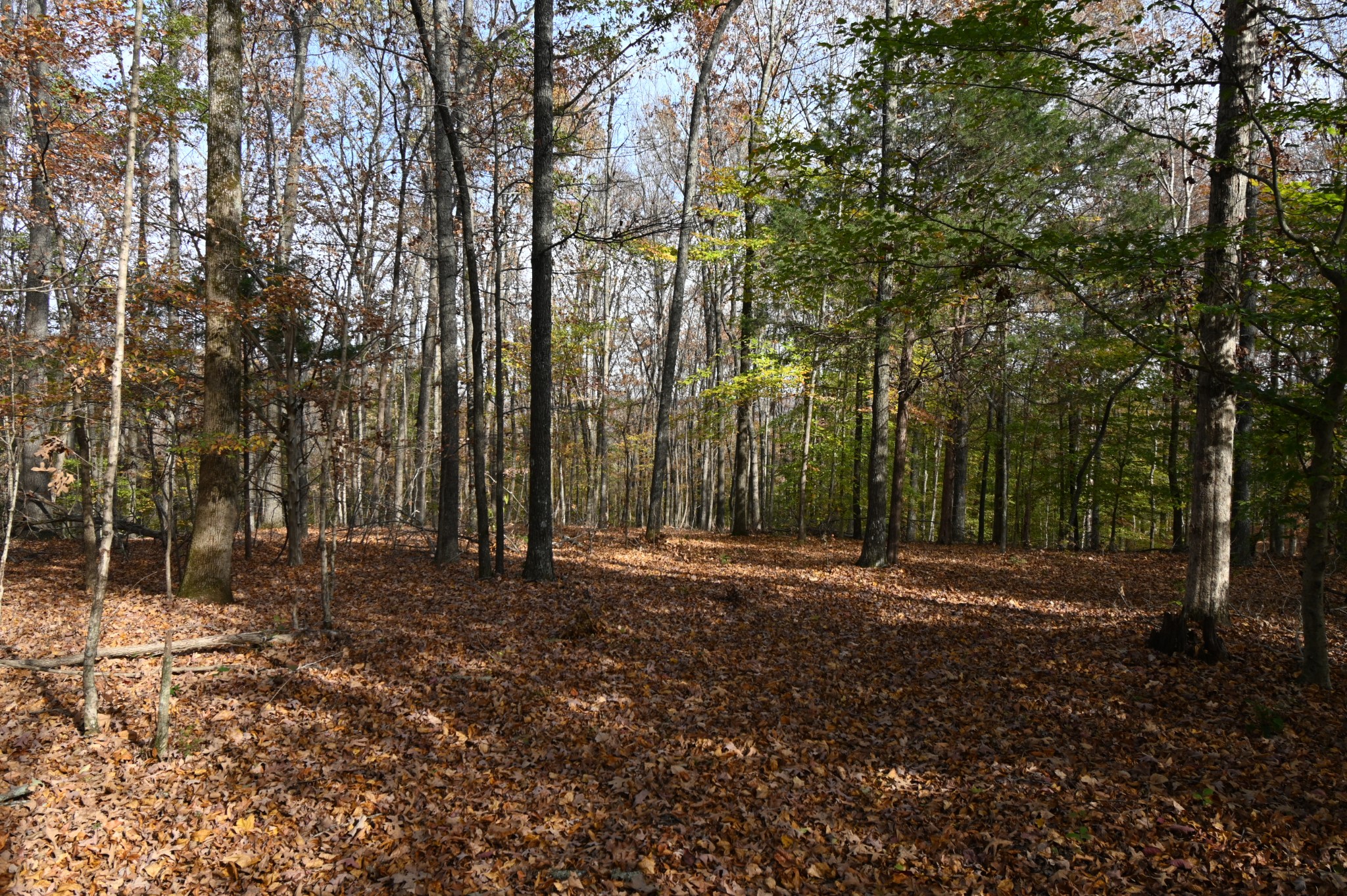 2383 Airport Ridge Rd Property Photo 27