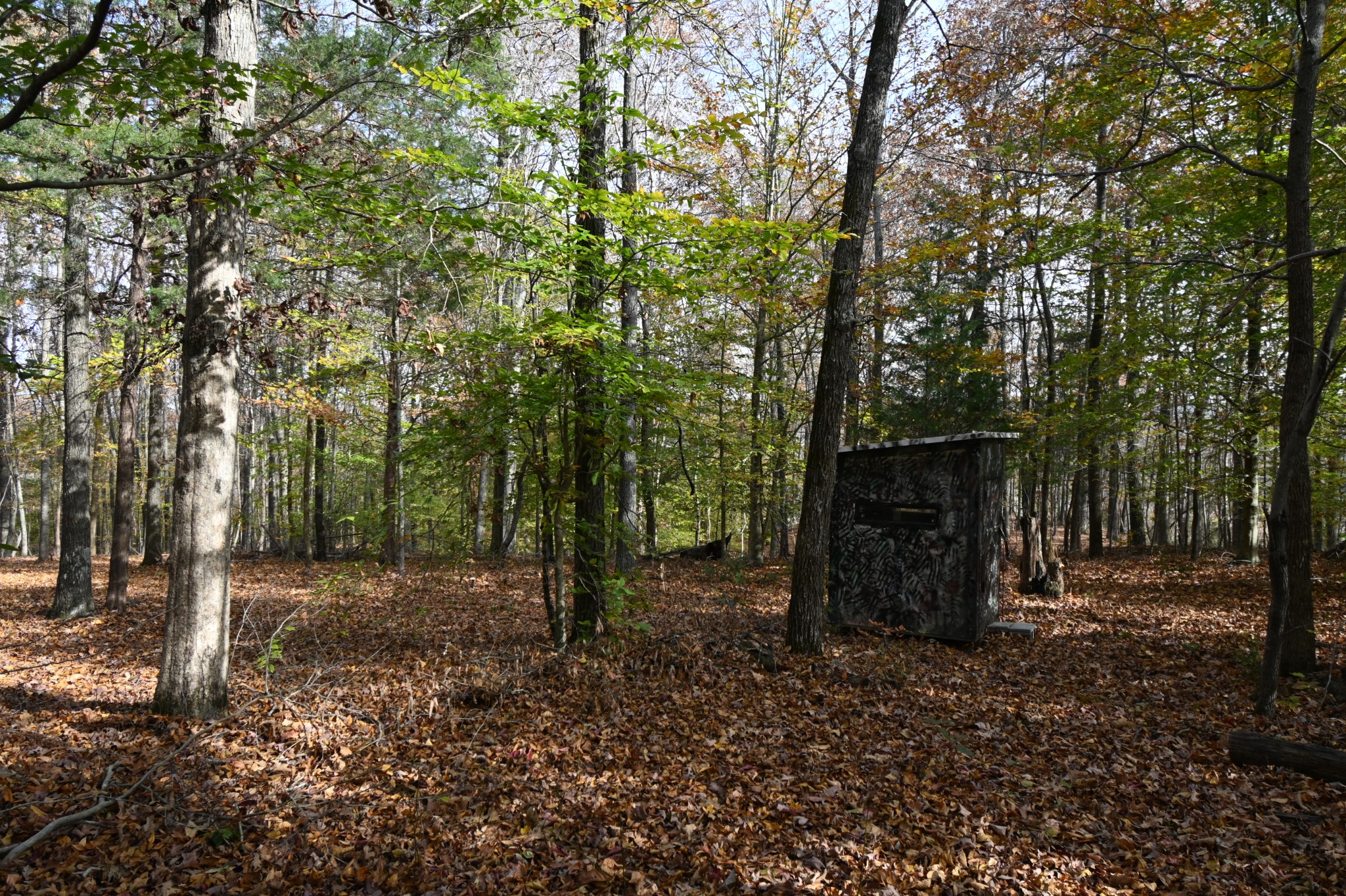 2383 Airport Ridge Rd Property Photo 28