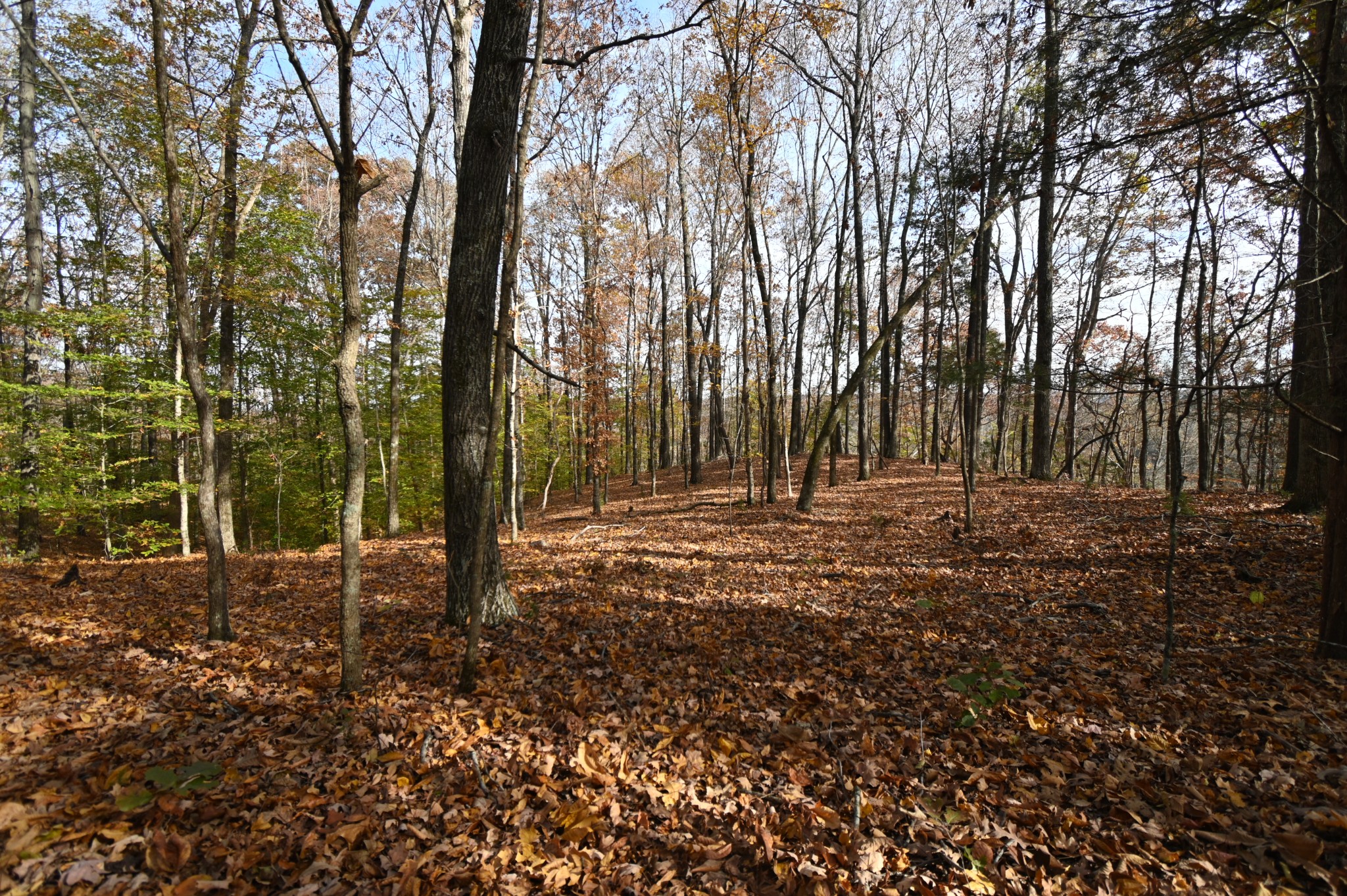 2383 Airport Ridge Rd Property Photo 29