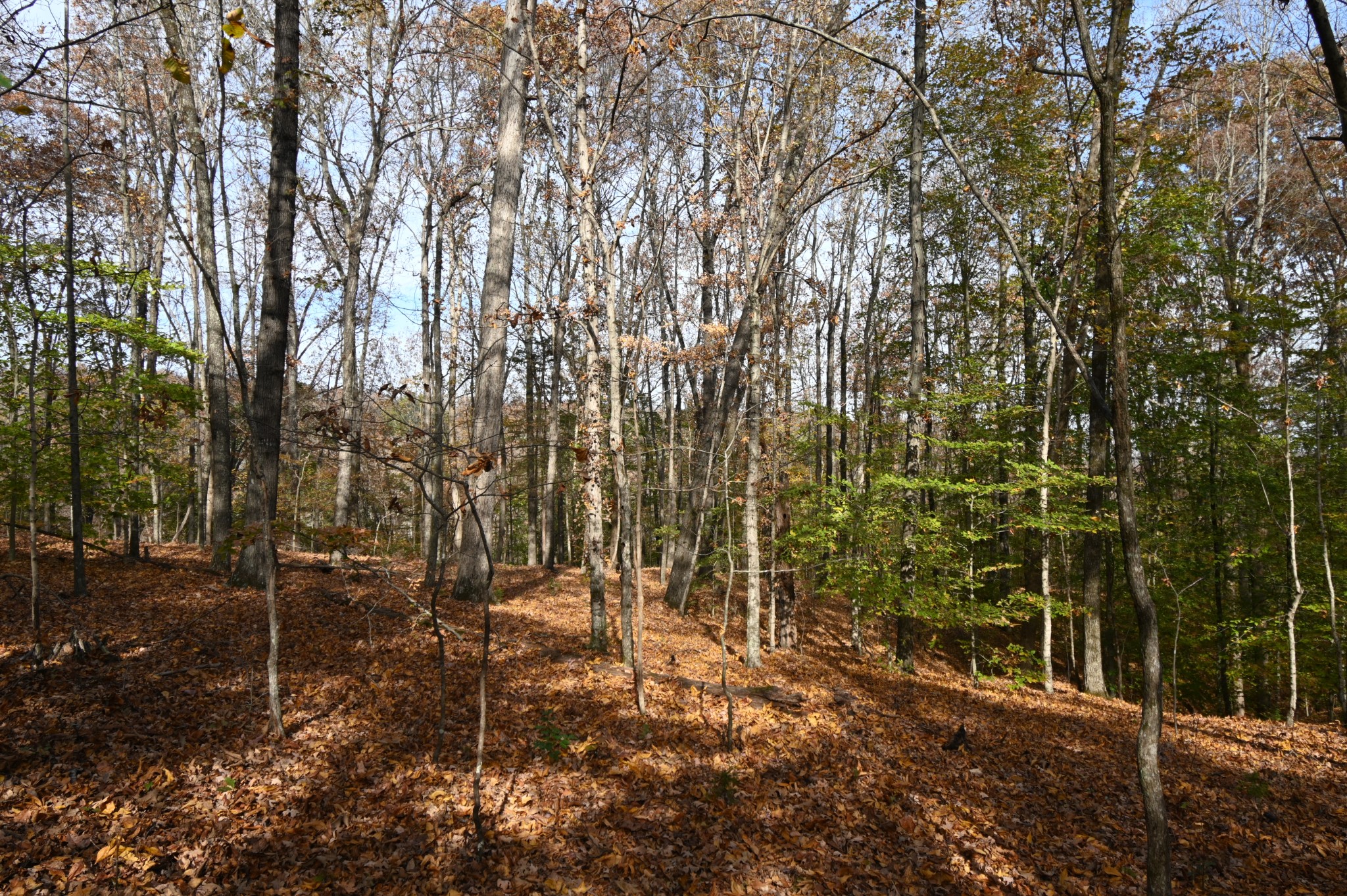 2383 Airport Ridge Rd Property Photo 31