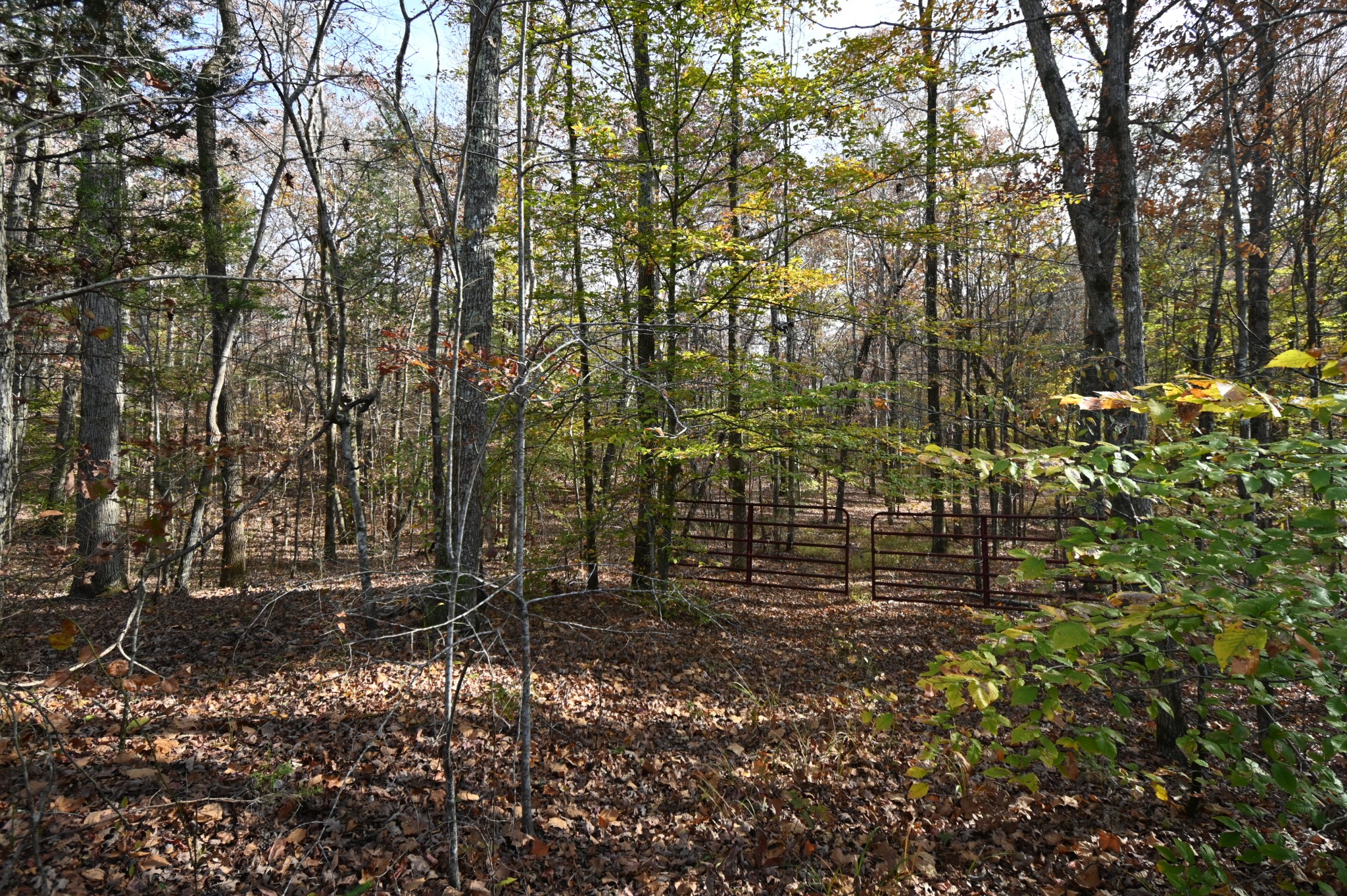 2383 Airport Ridge Rd Property Photo 34