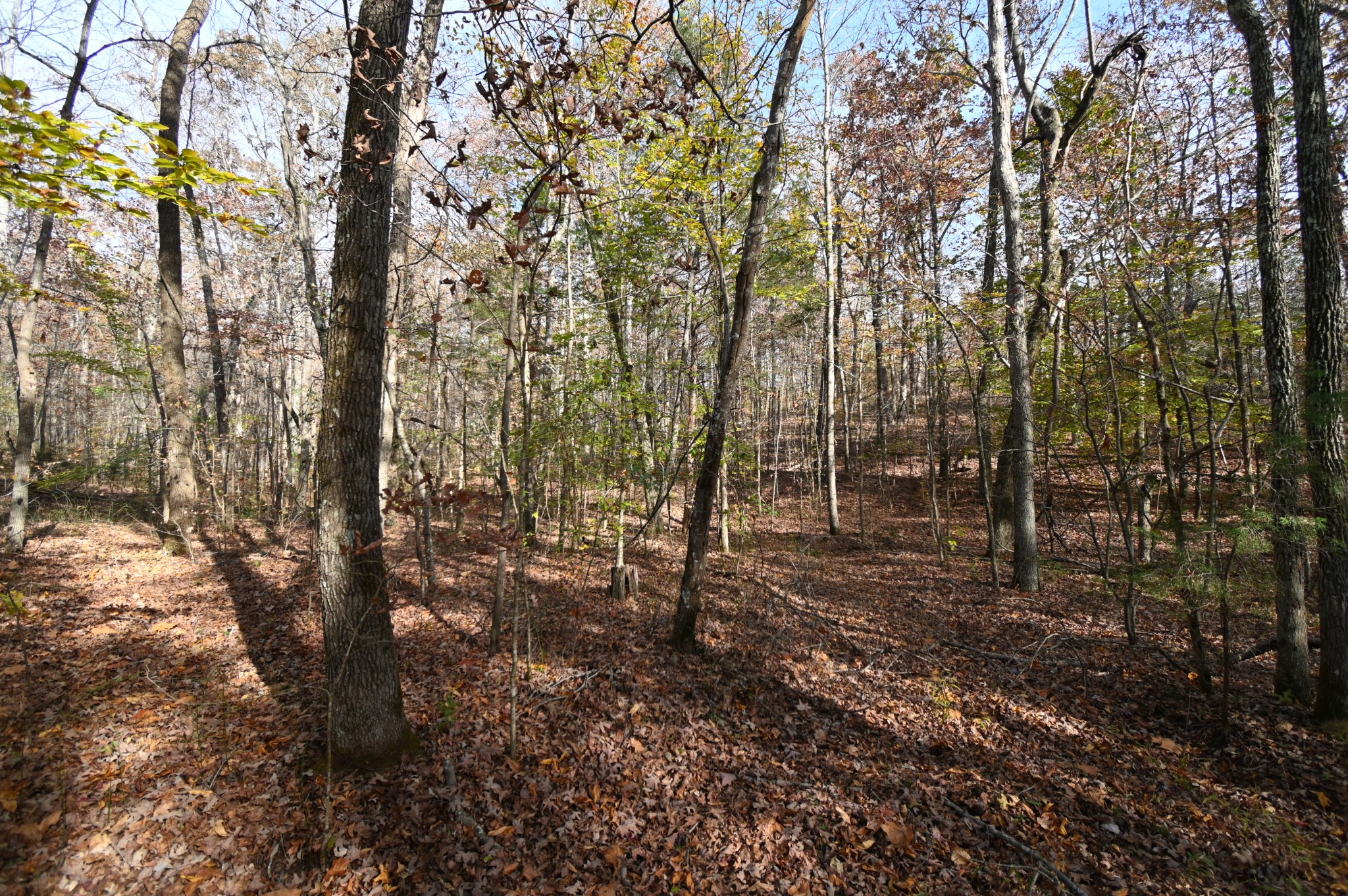 2383 Airport Ridge Rd Property Photo 35