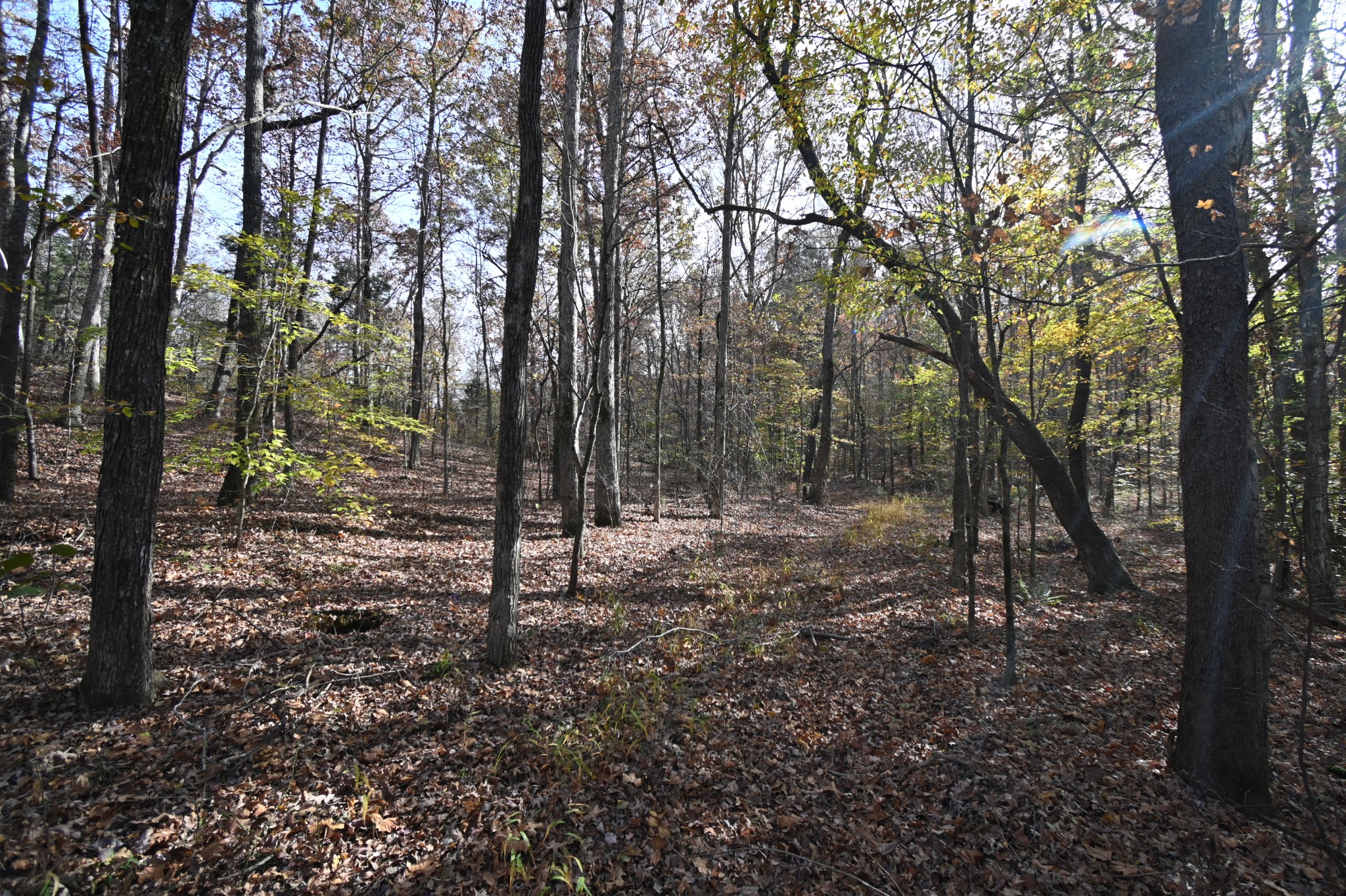2383 Airport Ridge Rd Property Photo 36