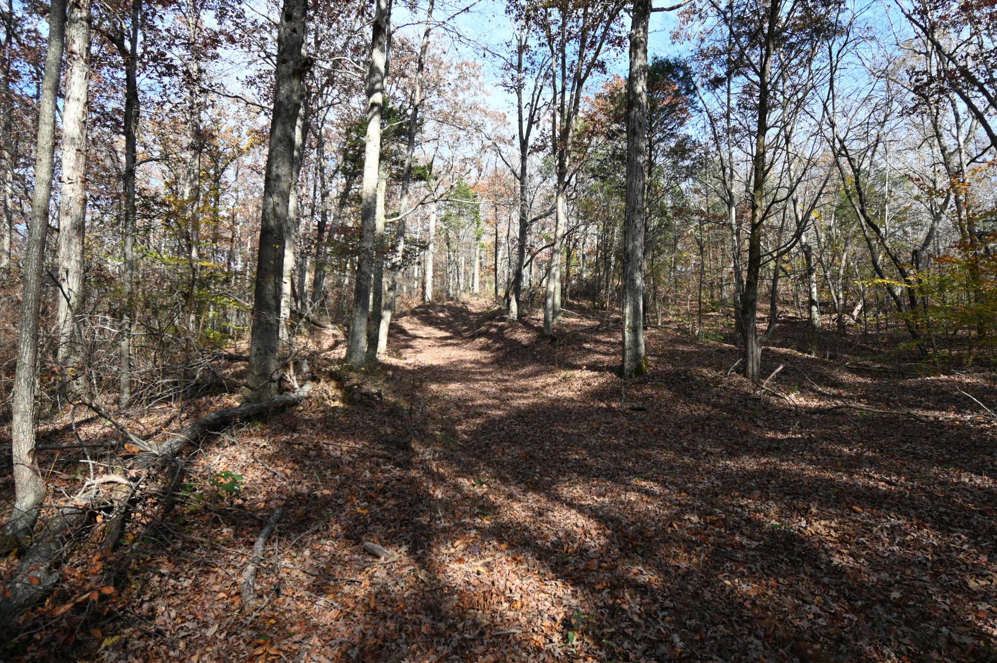 2383 Airport Ridge Rd Property Photo 38