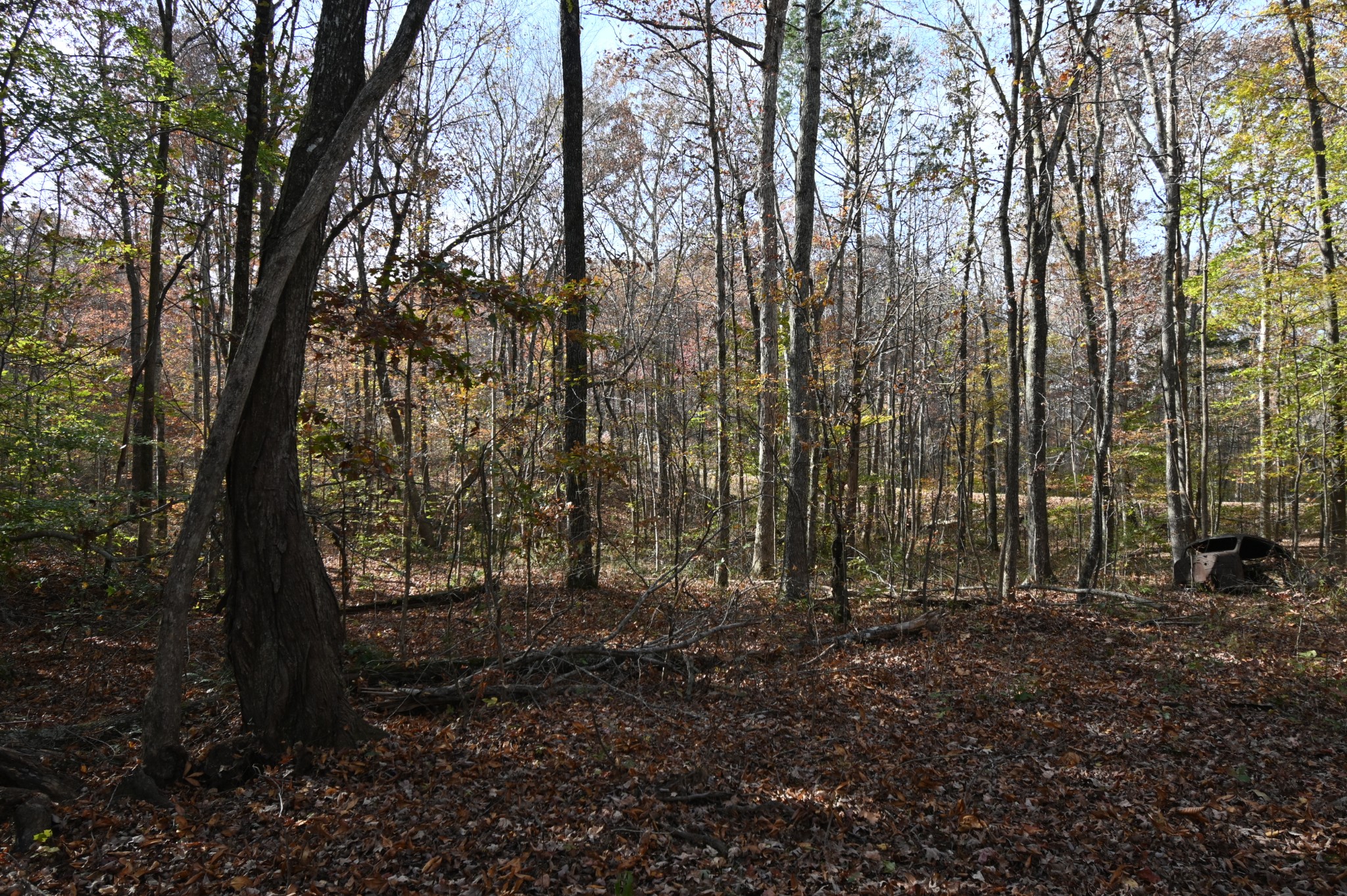 2383 Airport Ridge Rd Property Photo 40