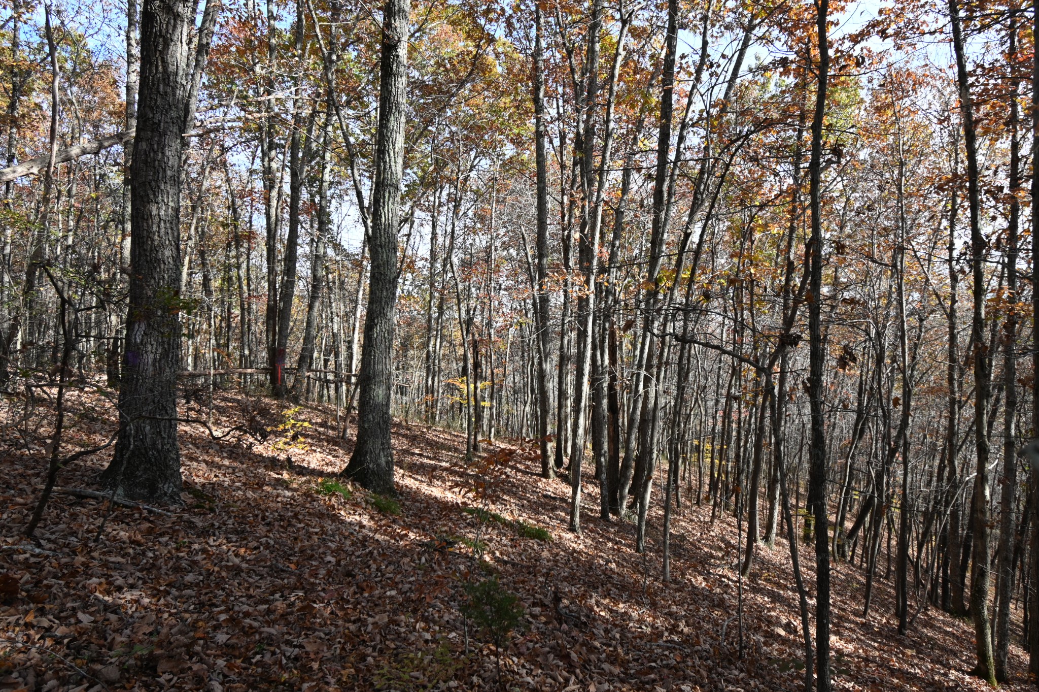 2383 Airport Ridge Rd Property Photo 41