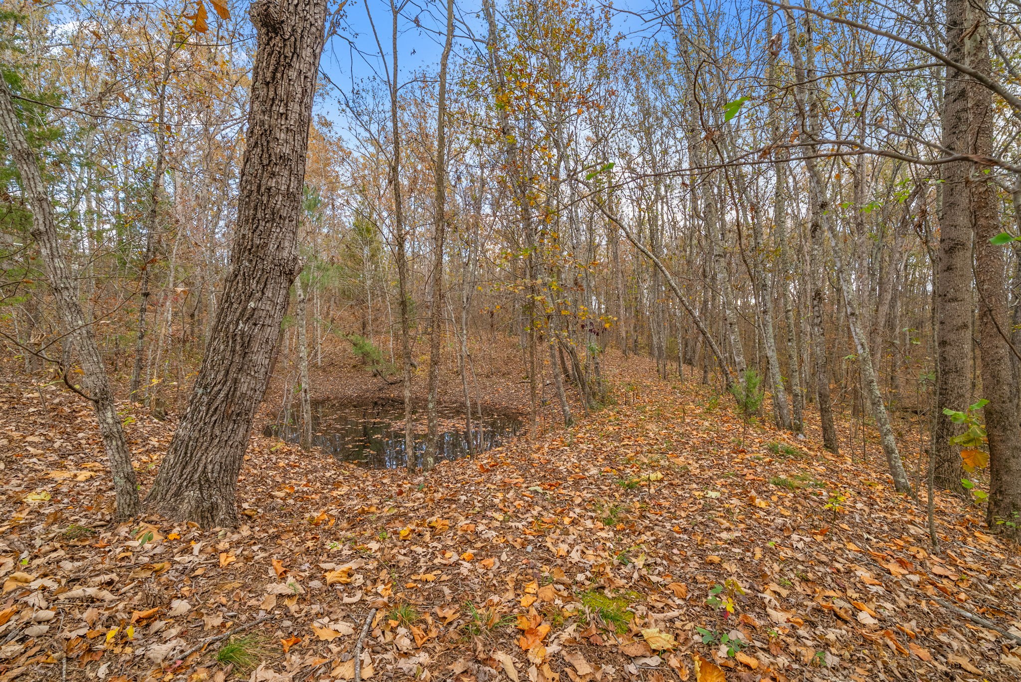 197 Old Homestead Rd Property Photo 37