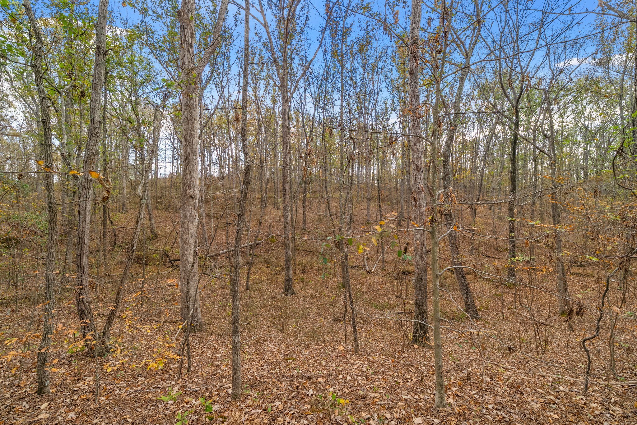 197 Old Homestead Rd Property Photo 38