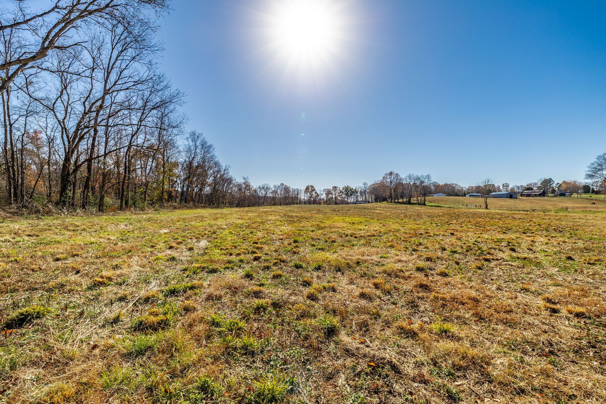 0 East Dana Kepley Property Photo 36
