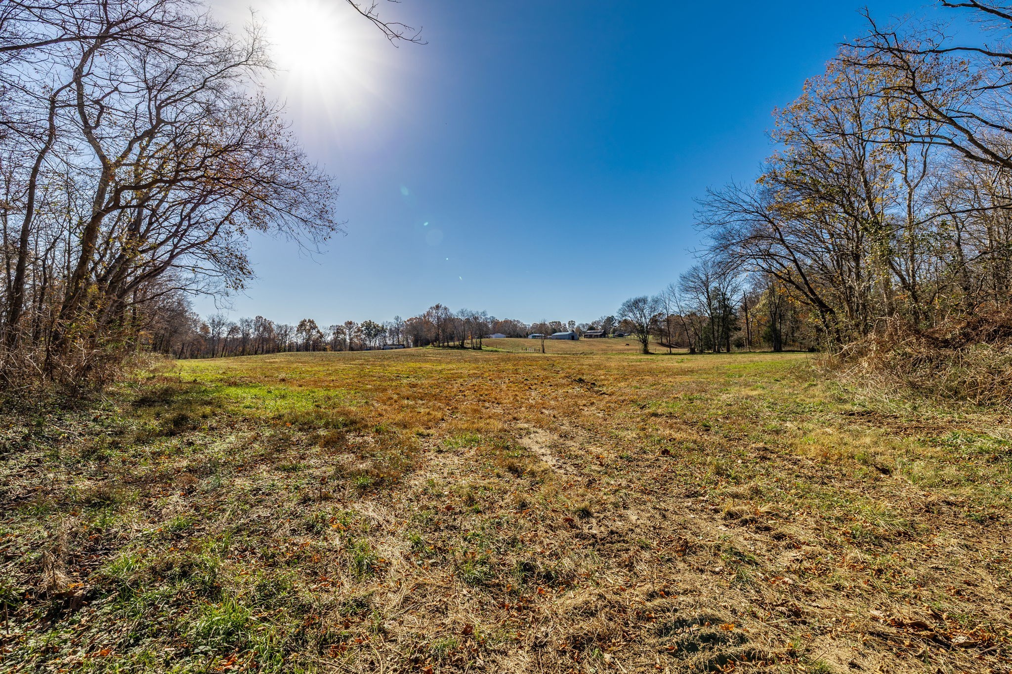 0 East Dana Kepley Property Photo 37