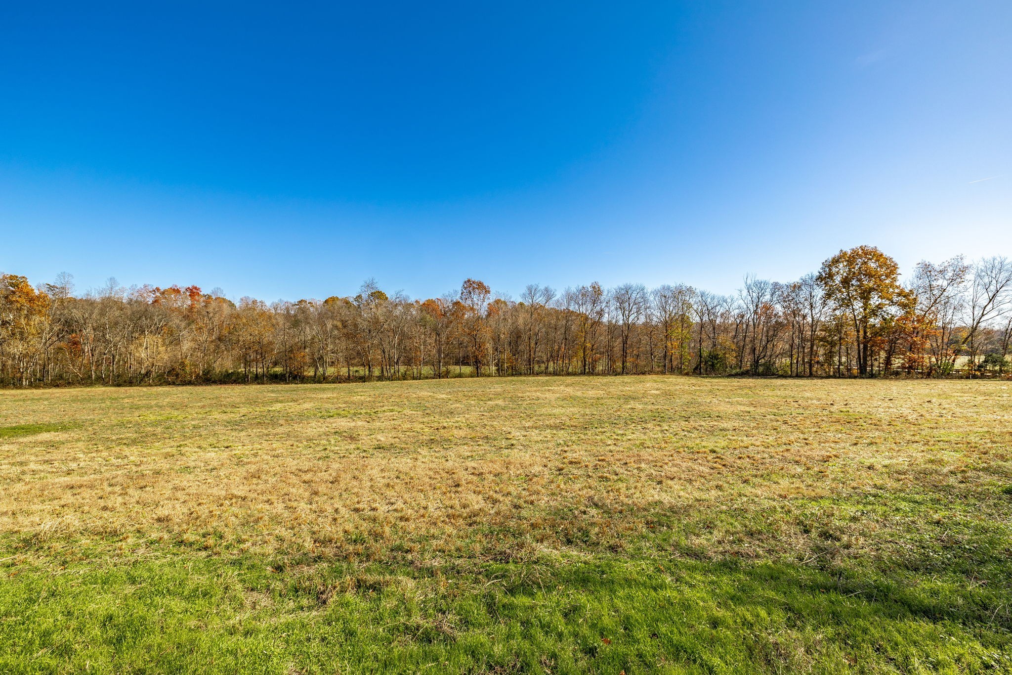 0 East Dana Kepley Property Photo 43