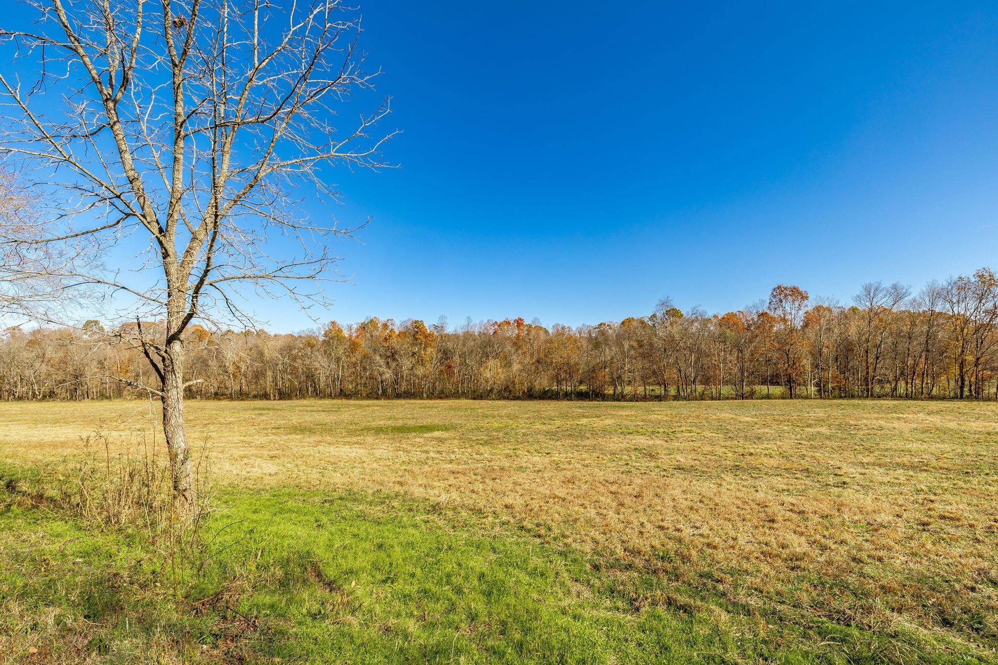 0 East Dana Kepley Property Photo 44