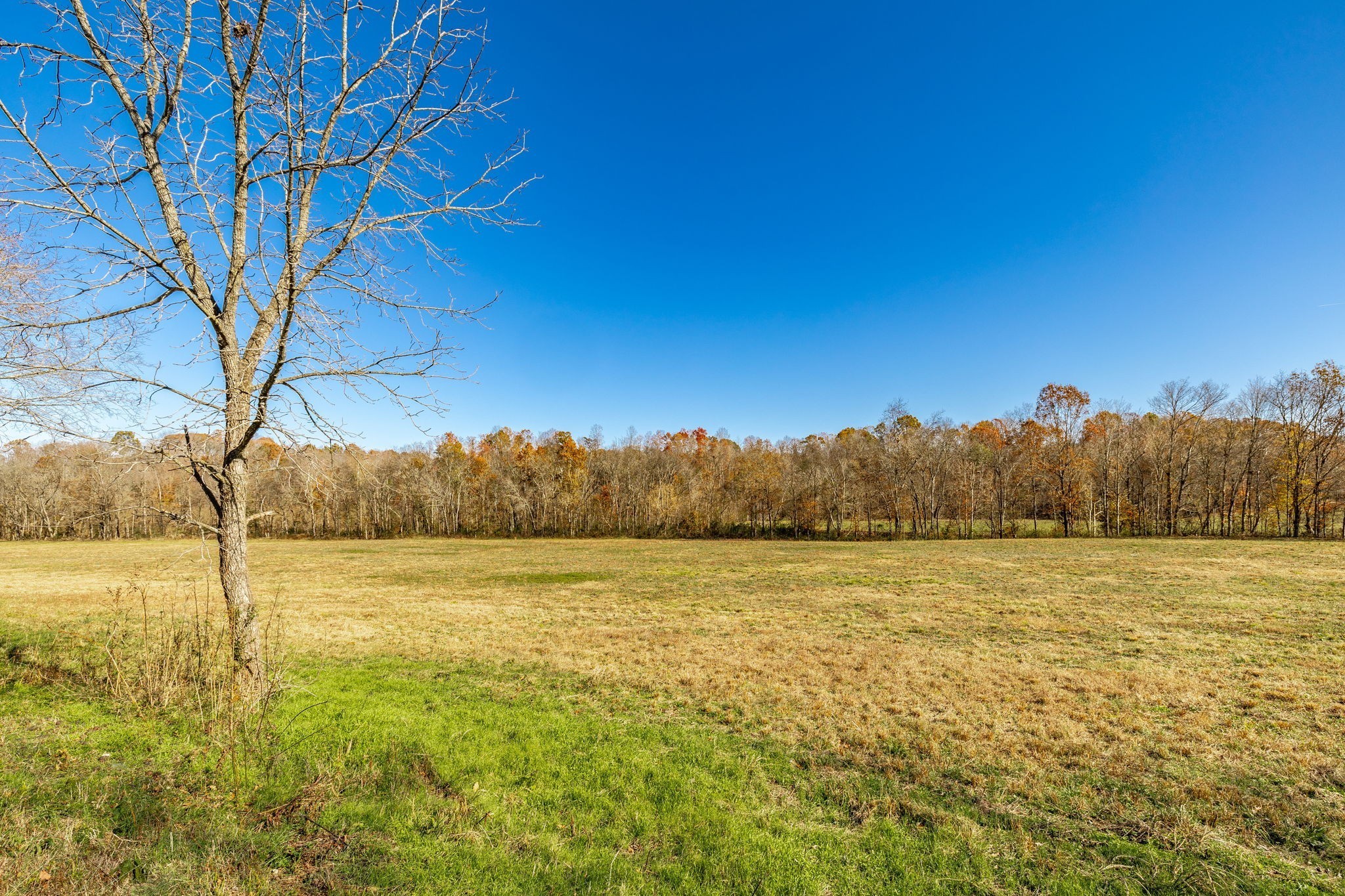 0 East Dana Kepley Property Photo 44