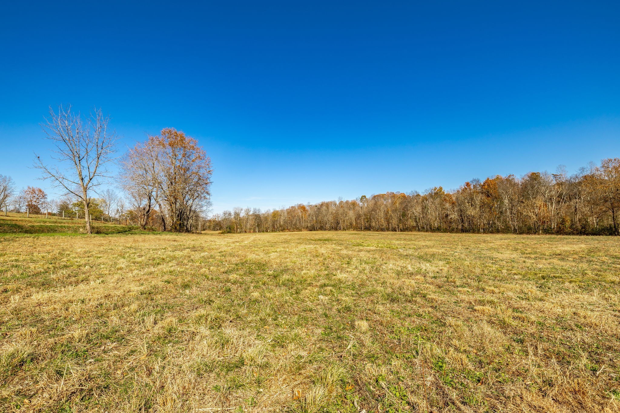 0 East Dana Kepley Property Photo 45