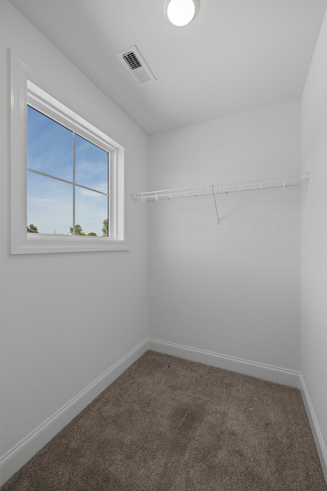 1916 Gracie Bug Loop Property Photo 37