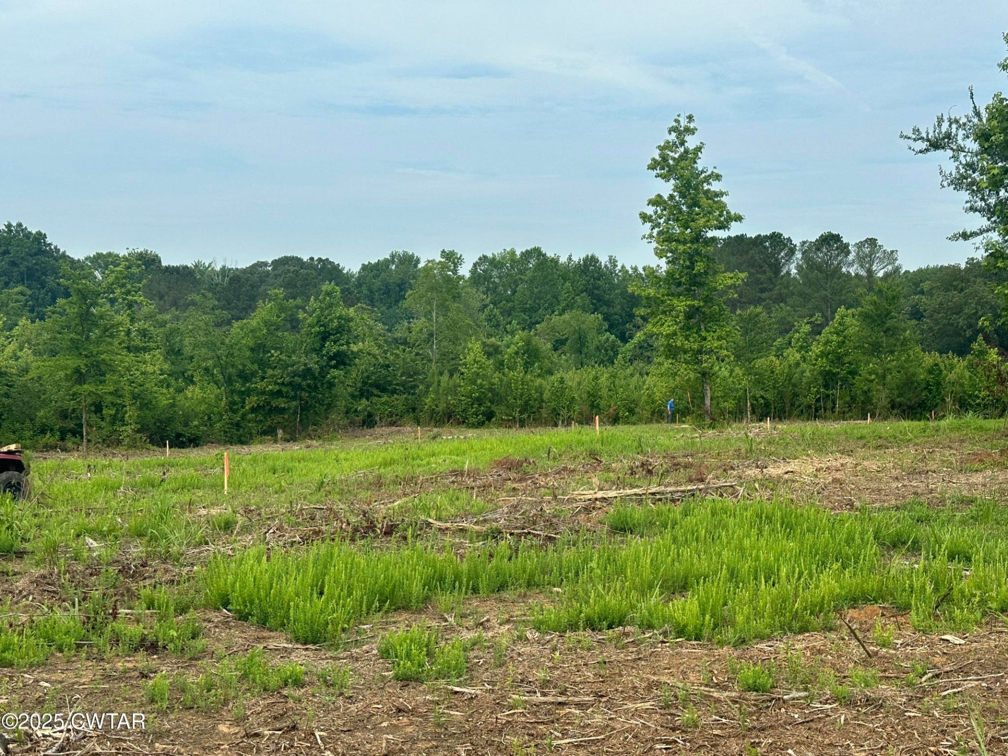 0 State Route 22a, S Property Photo 6