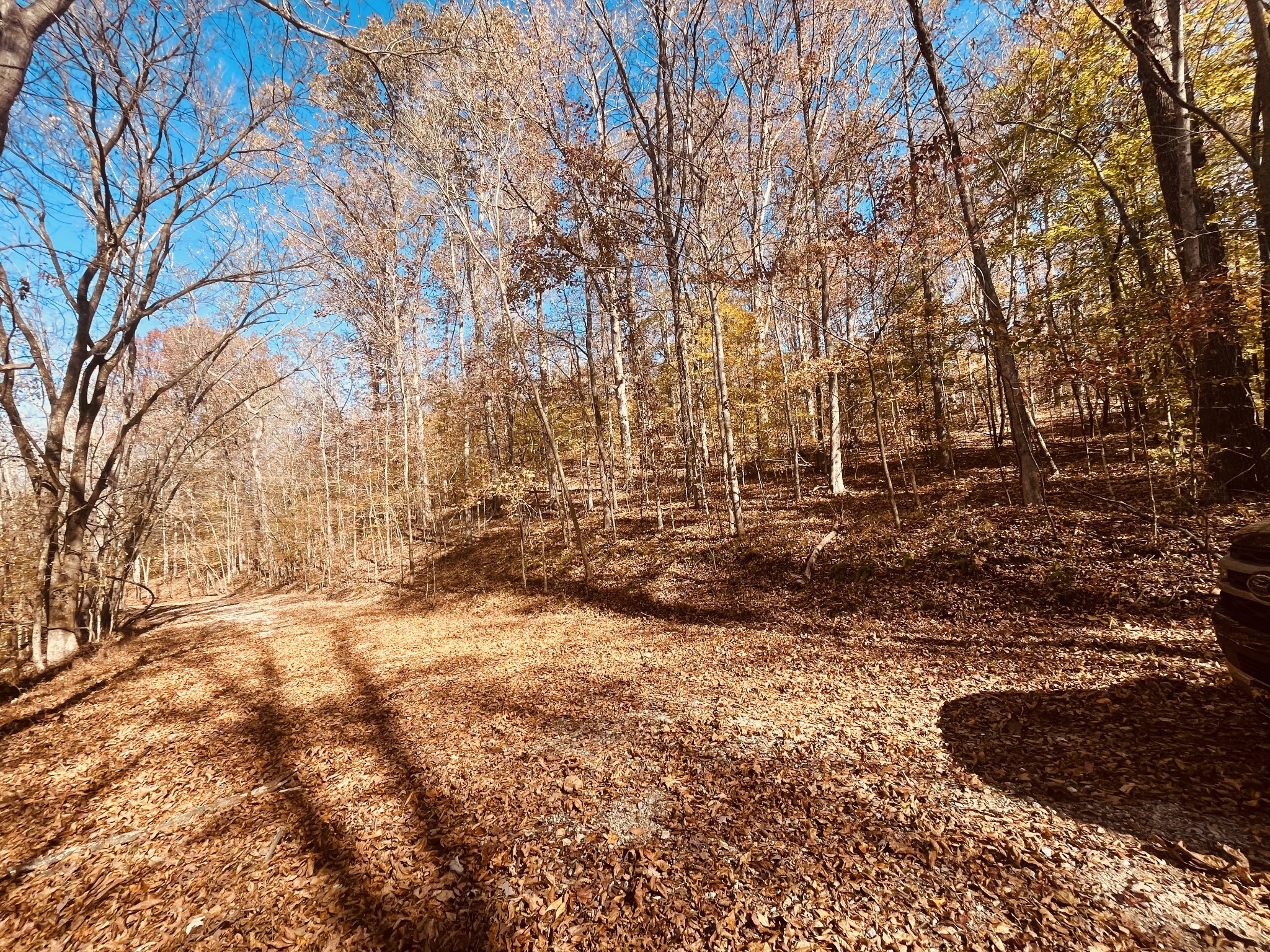 0 Arrow Head Circle Property Photo 1