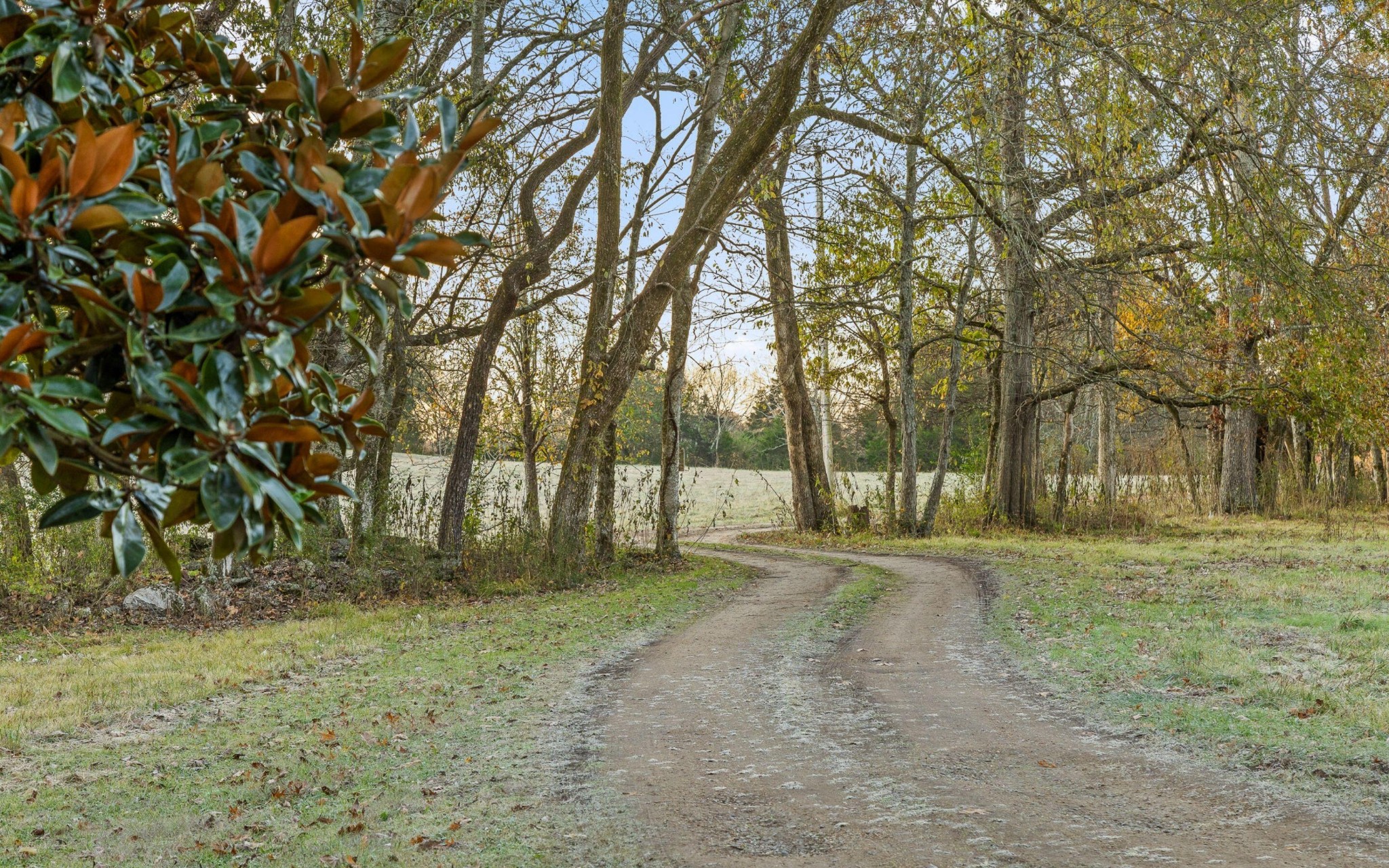 661 Jill Lane Property Photo 39