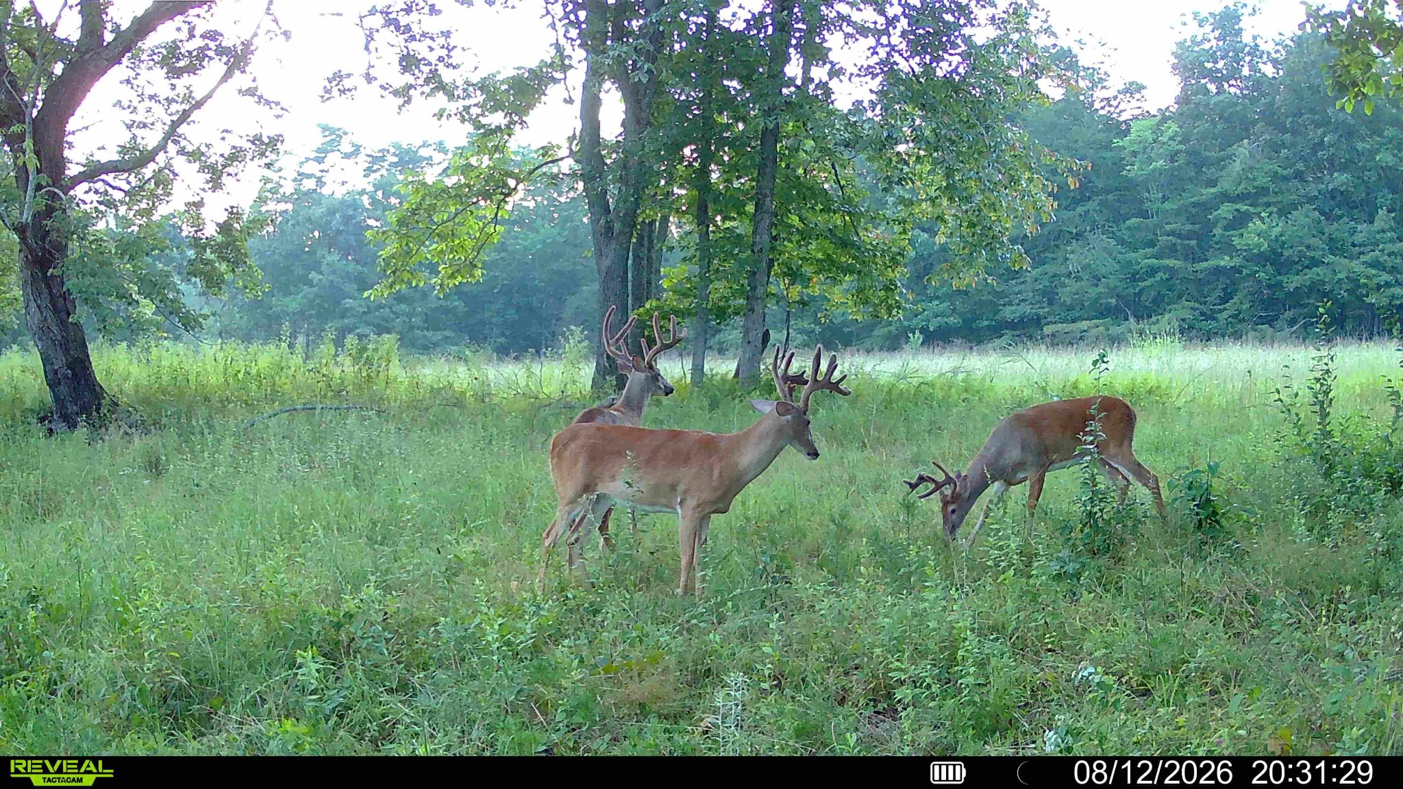 1047 Nelson Harrison Property Photo 1