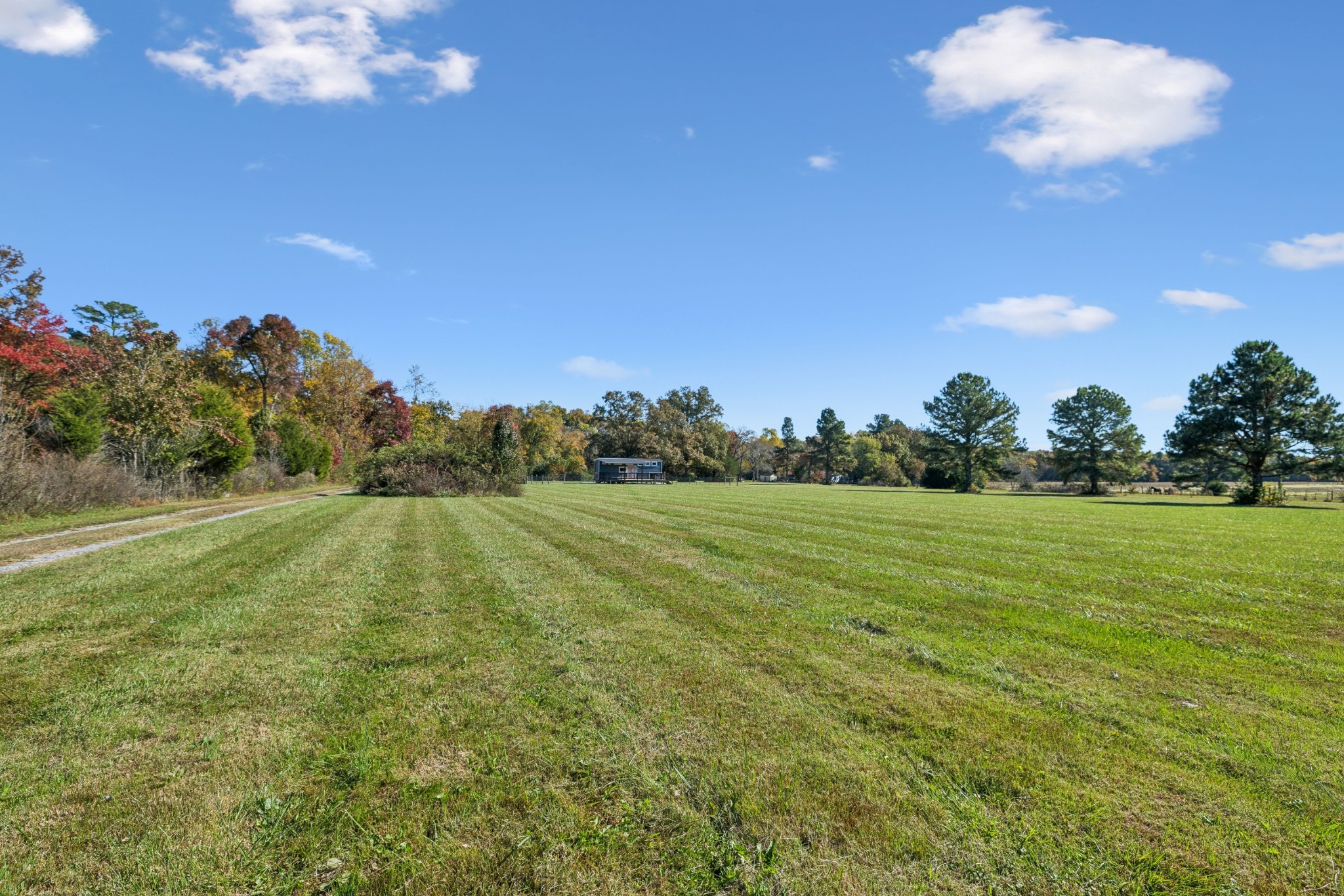 10849 Jim Cummings Hwy Property Photo 14