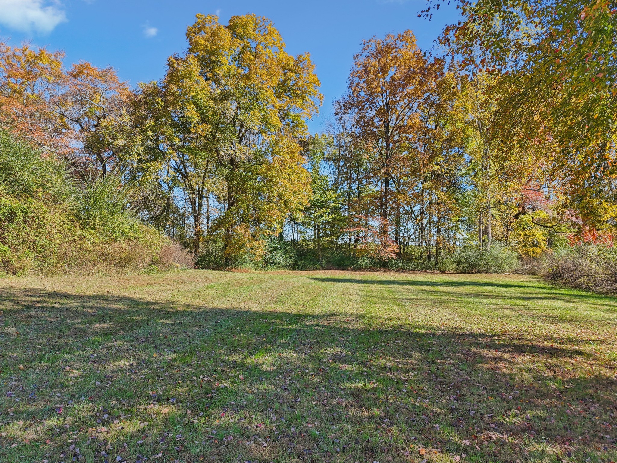 10849 Jim Cummings Hwy Property Photo 23