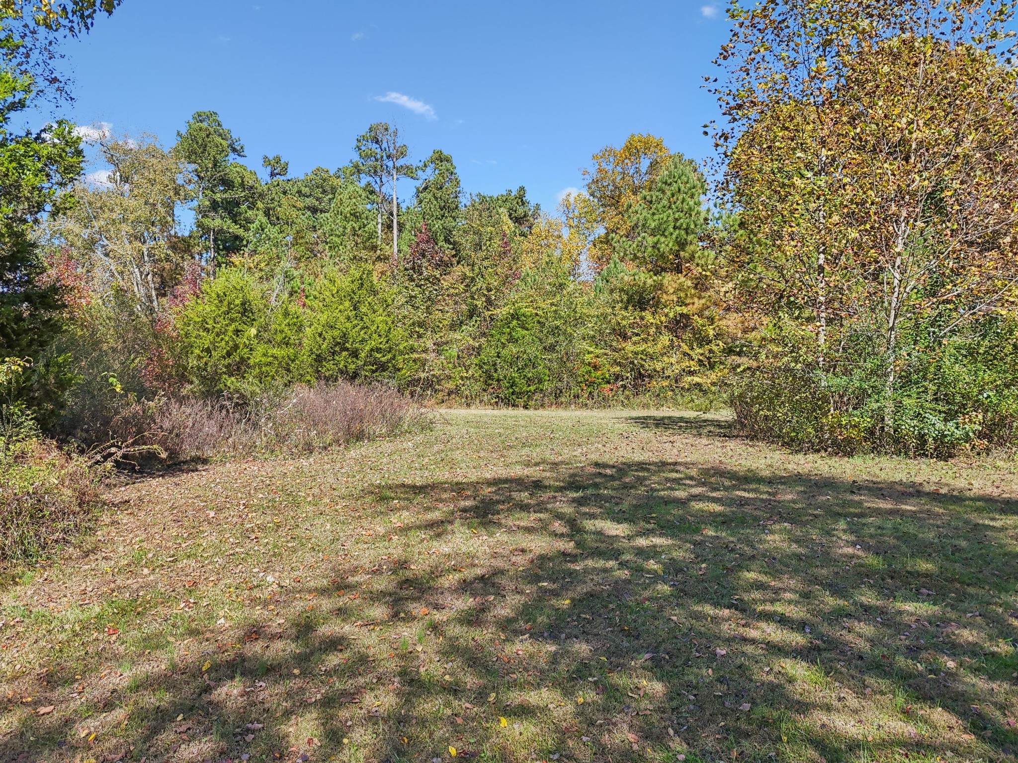 10849 Jim Cummings Hwy Property Photo 24