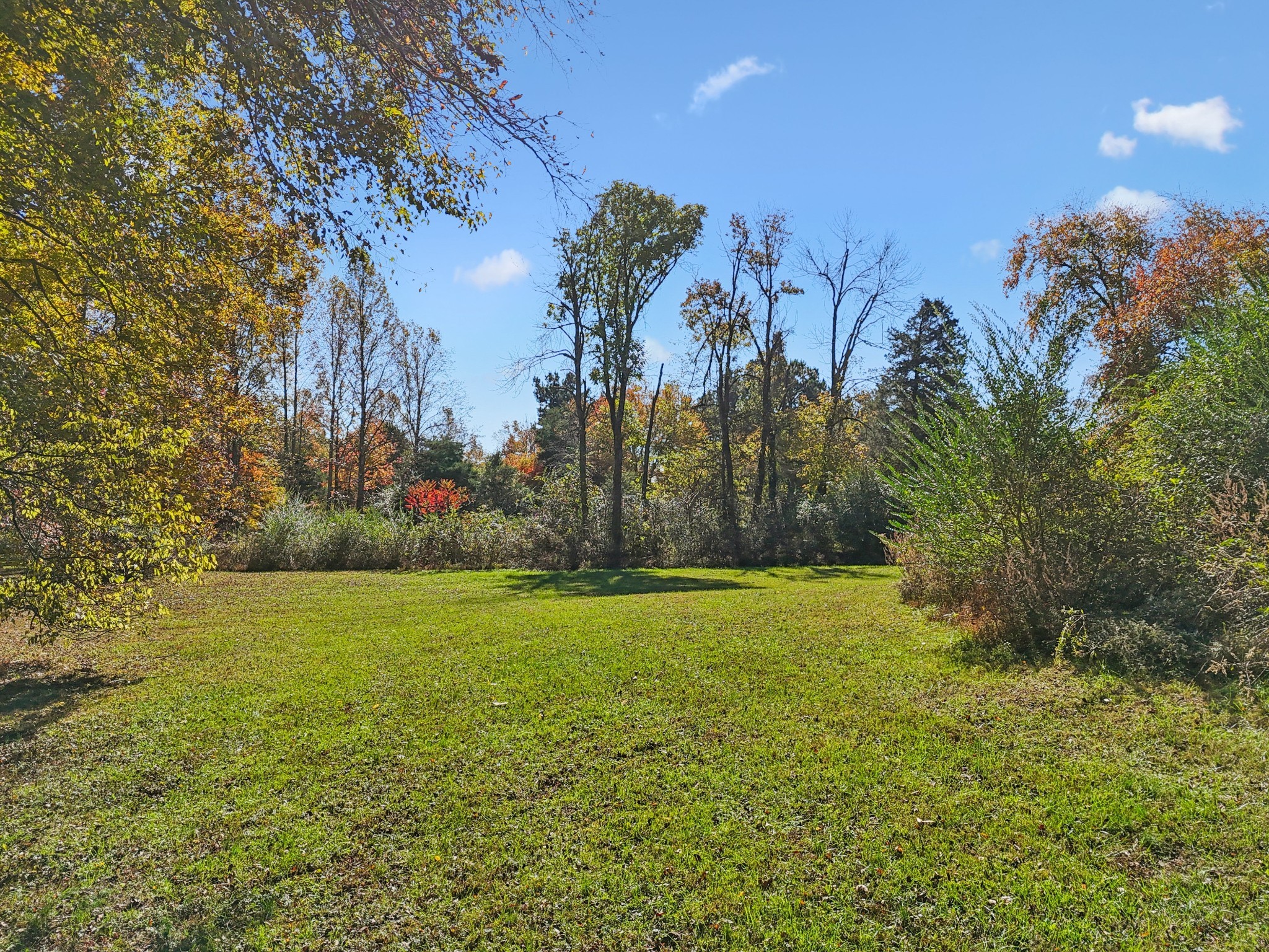 10849 Jim Cummings Hwy Property Photo 25