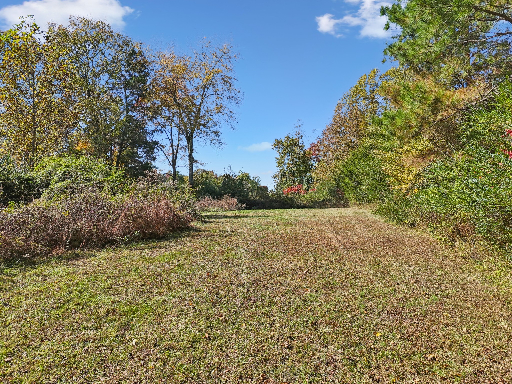 10849 Jim Cummings Hwy Property Photo 26