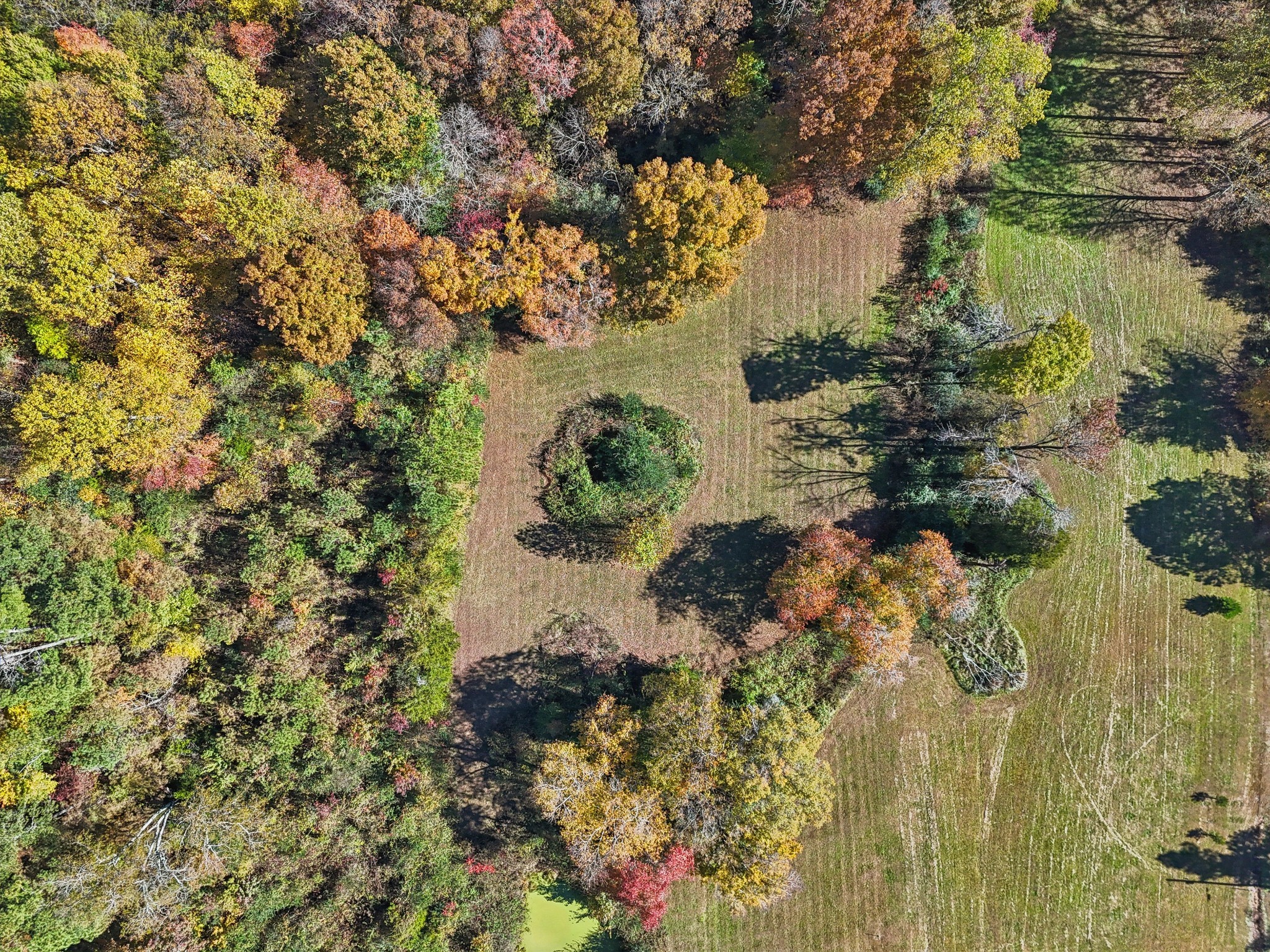 10849 Jim Cummings Hwy Property Photo 37