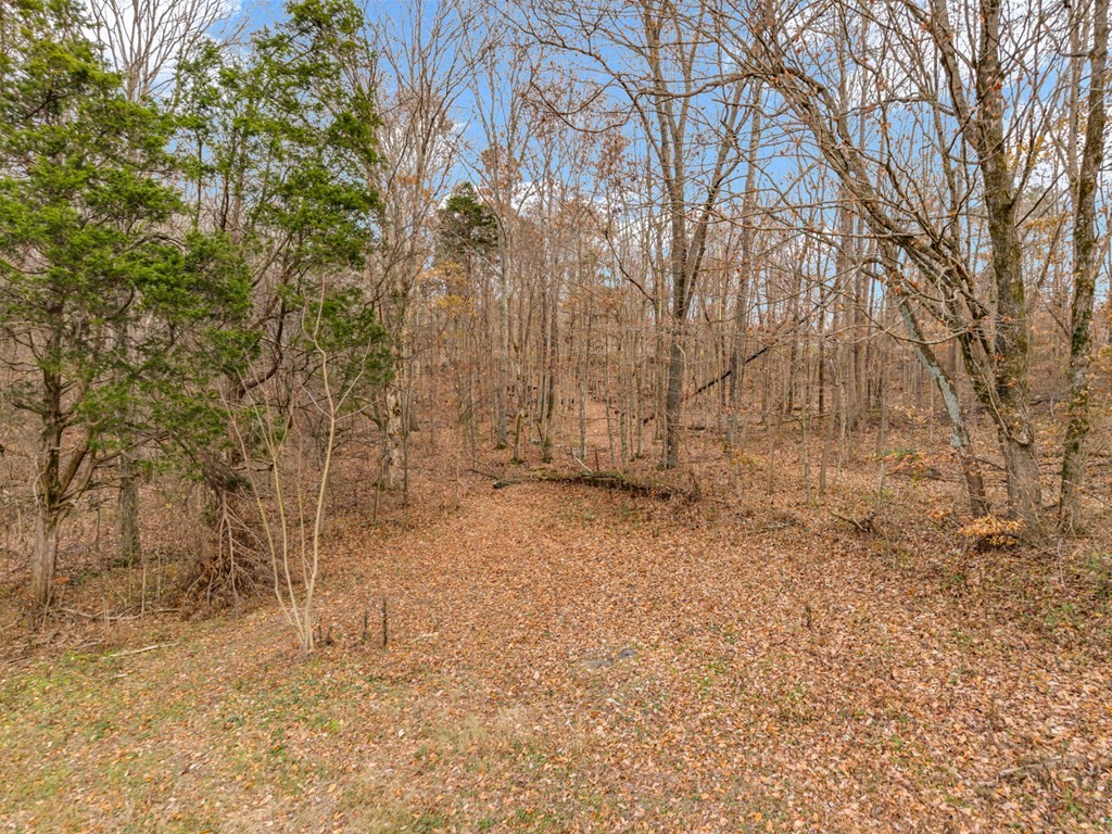 4934 N York Hwy Property Photo 7