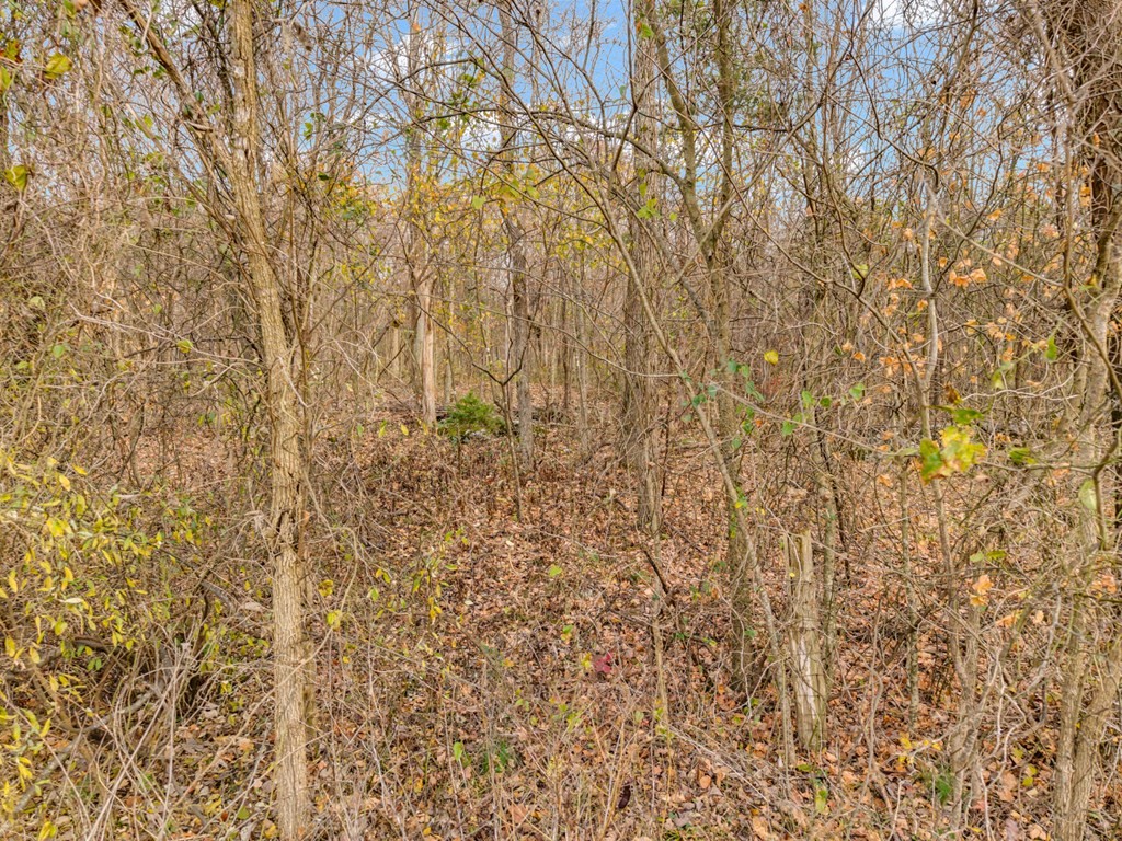 4934 N York Hwy Property Photo 9