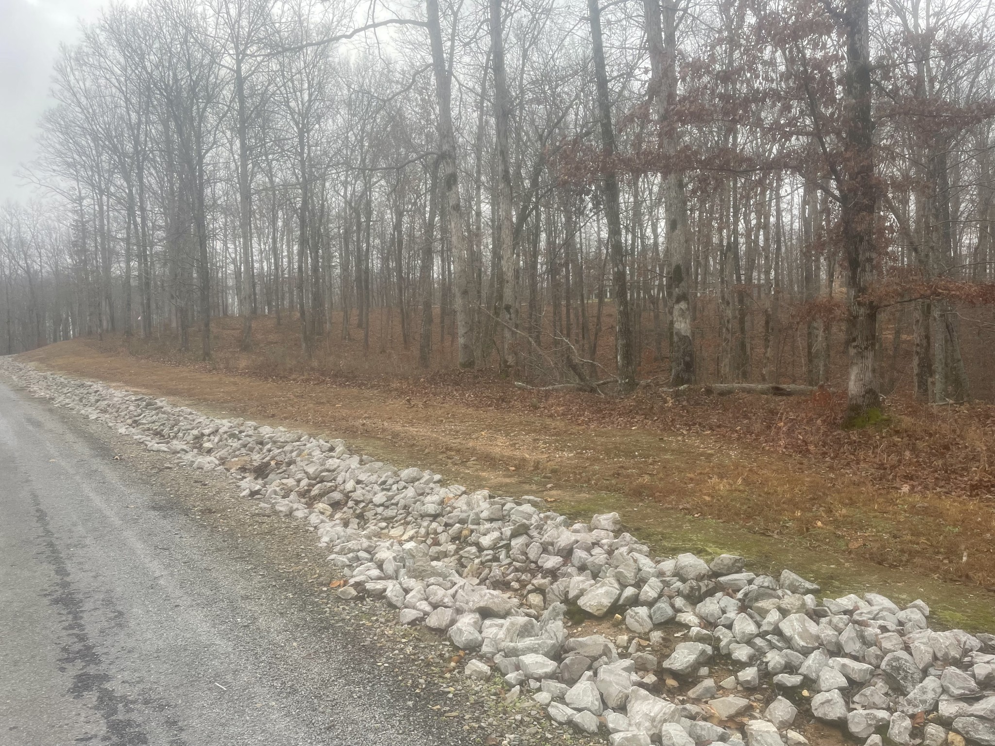 0 Stonebrook Drive Property Photo 2