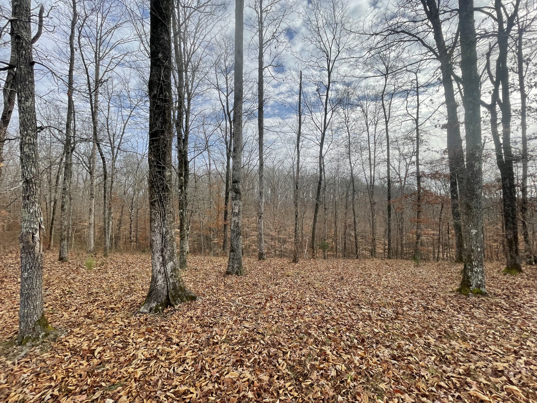 0 Stonebrook Drive Property Photo 3