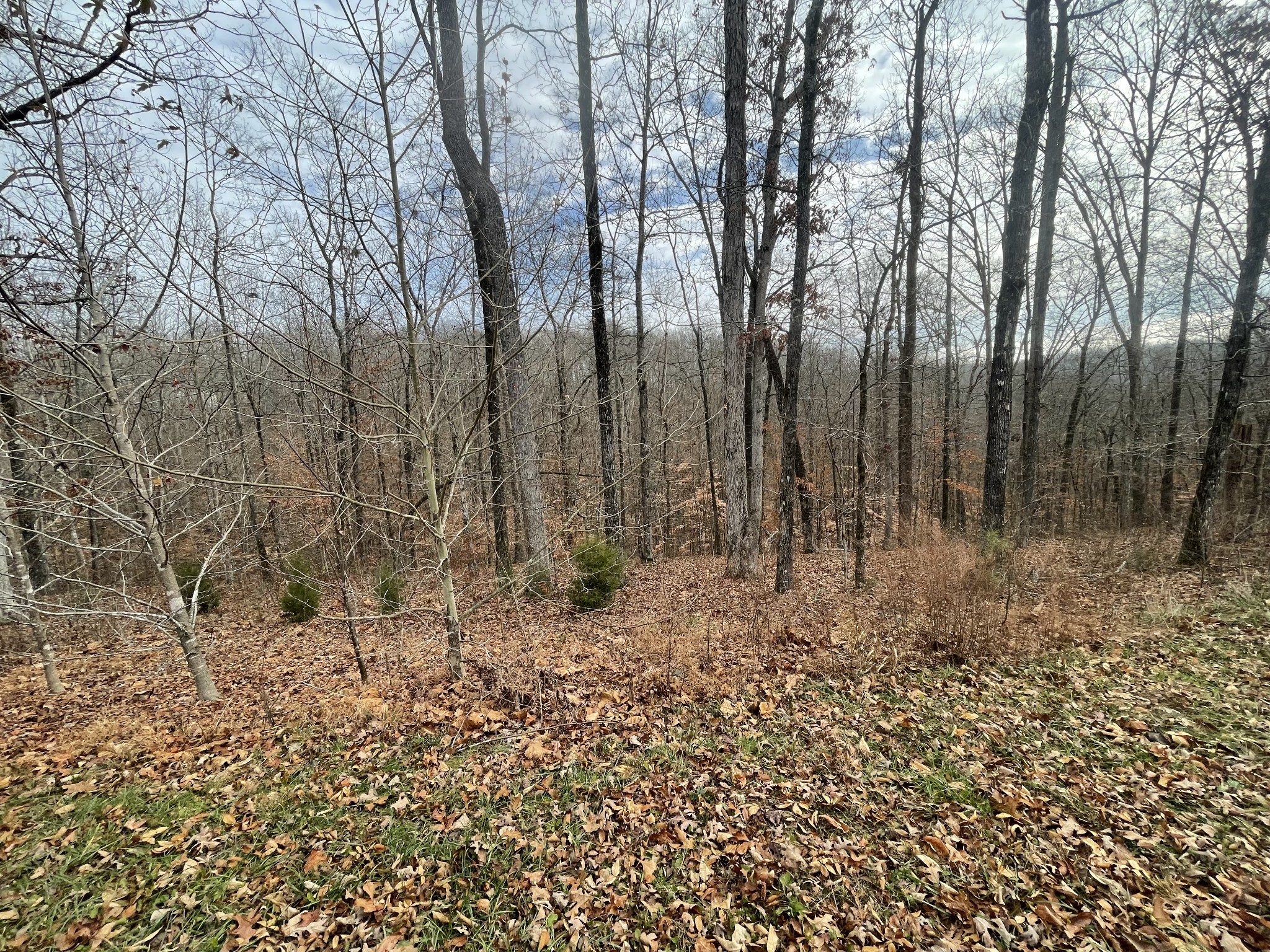 0 Stonebrook Drive Property Photo 4
