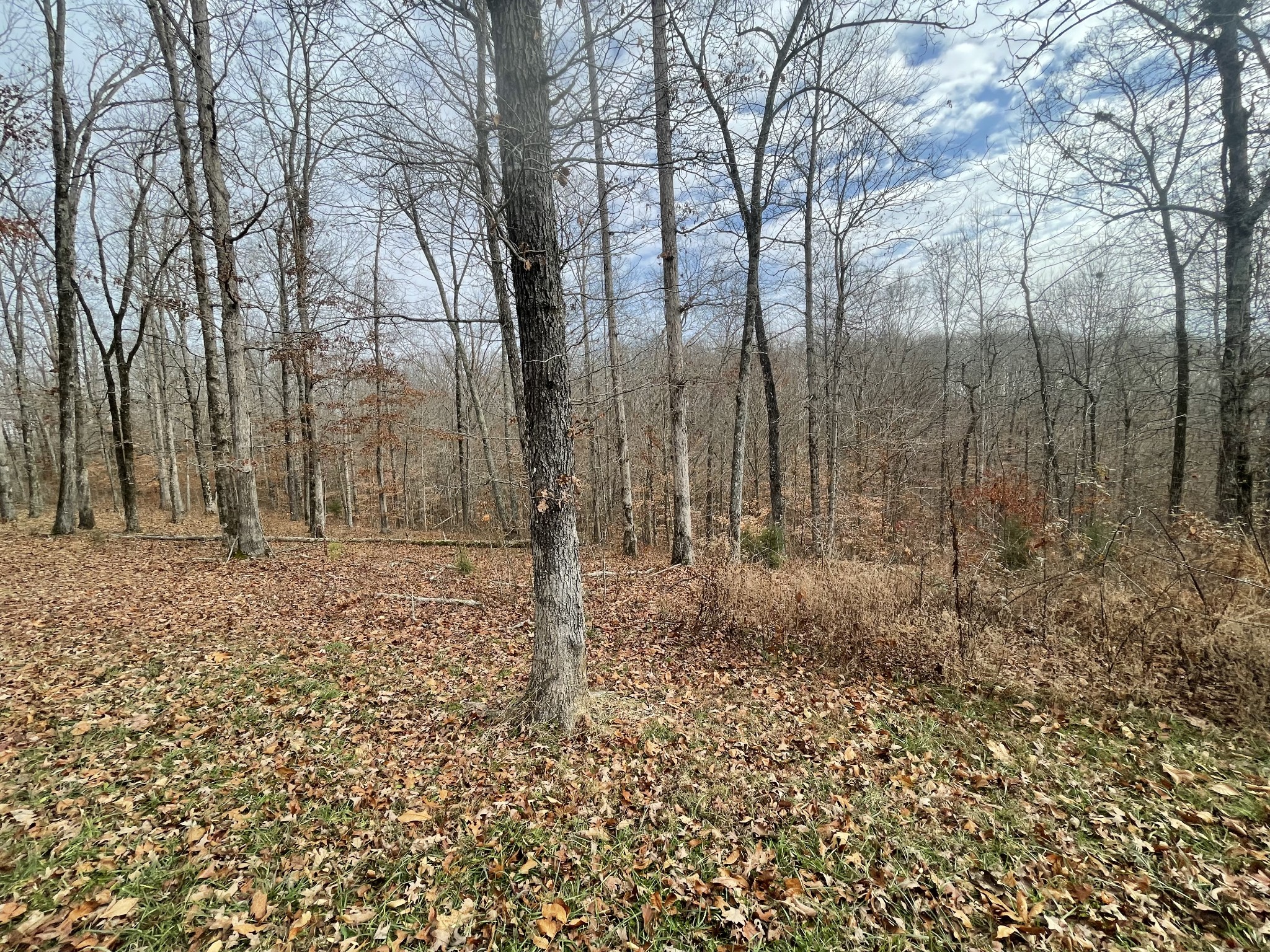 0 Stonebrook Drive Property Photo 6