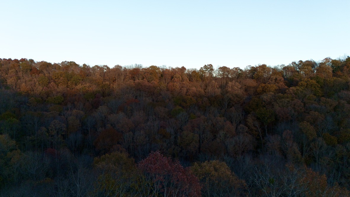 0 Rock Springs Rd Property Photo 6
