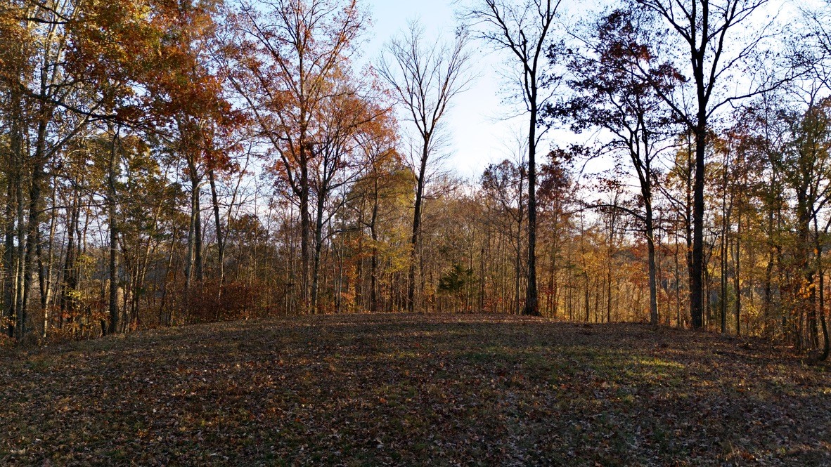 0 Rock Springs Rd Property Photo 8