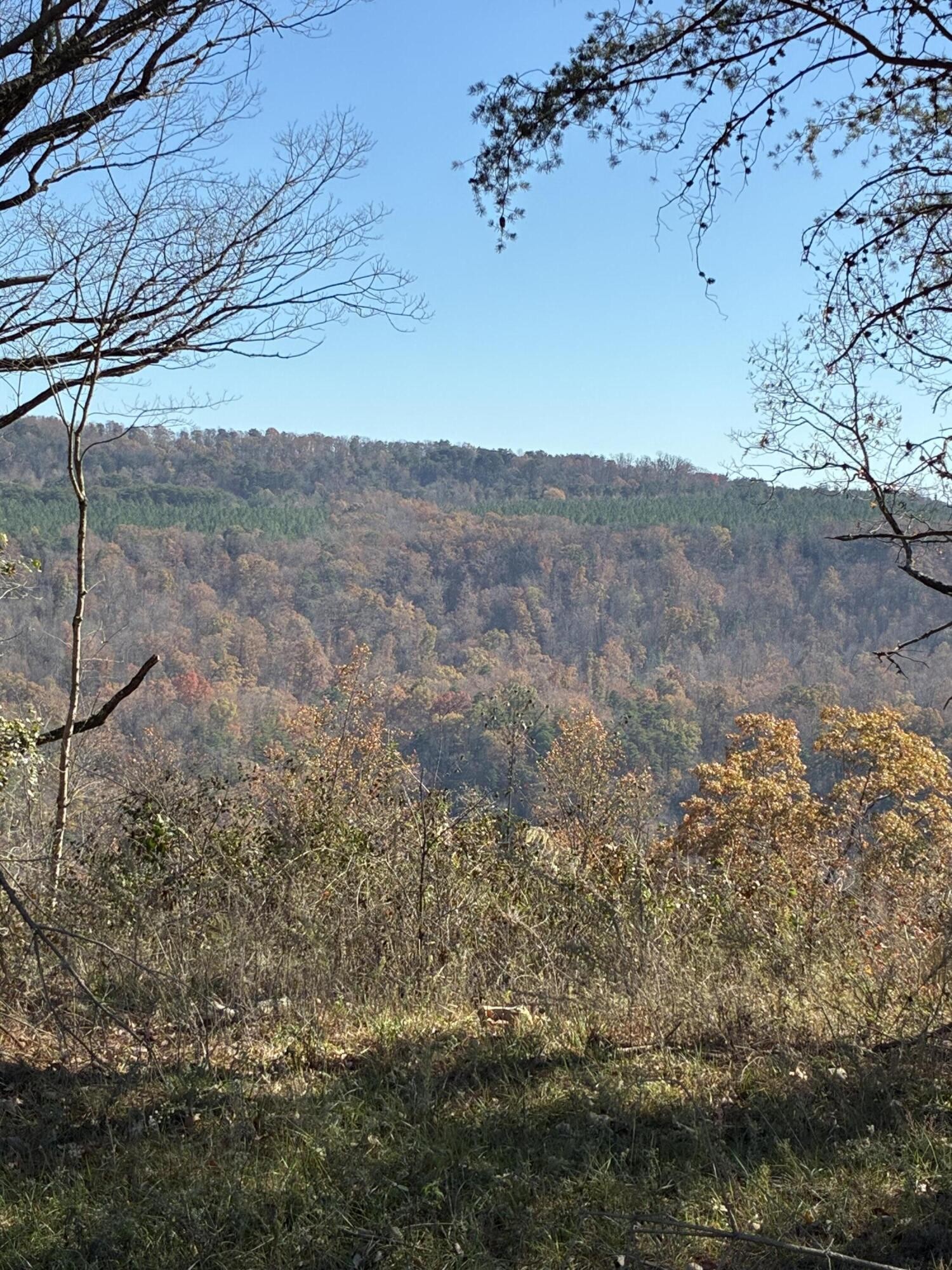 4690 Split Rail Way Property Photo 1