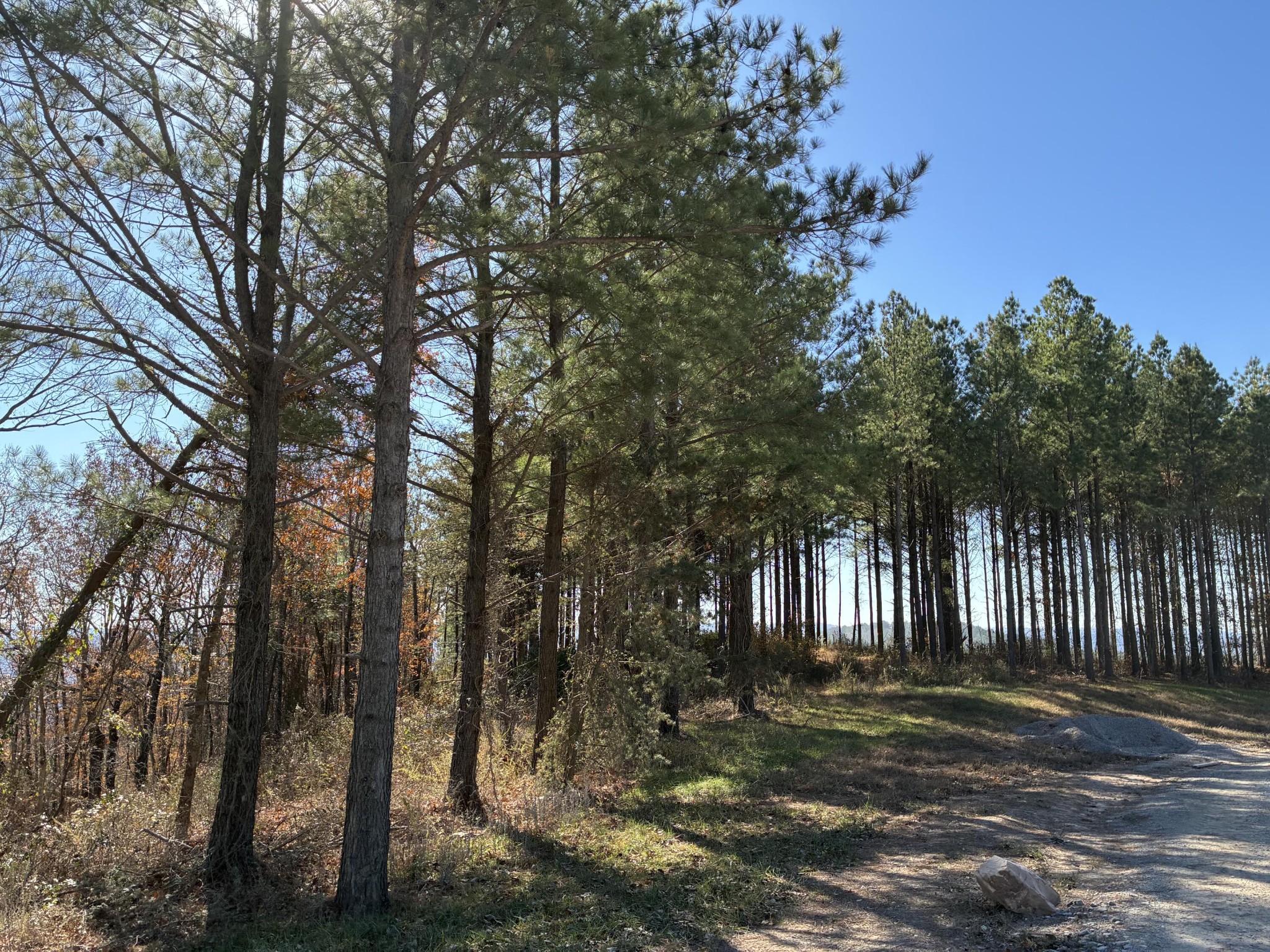 4690 Split Rail Way Property Photo 2