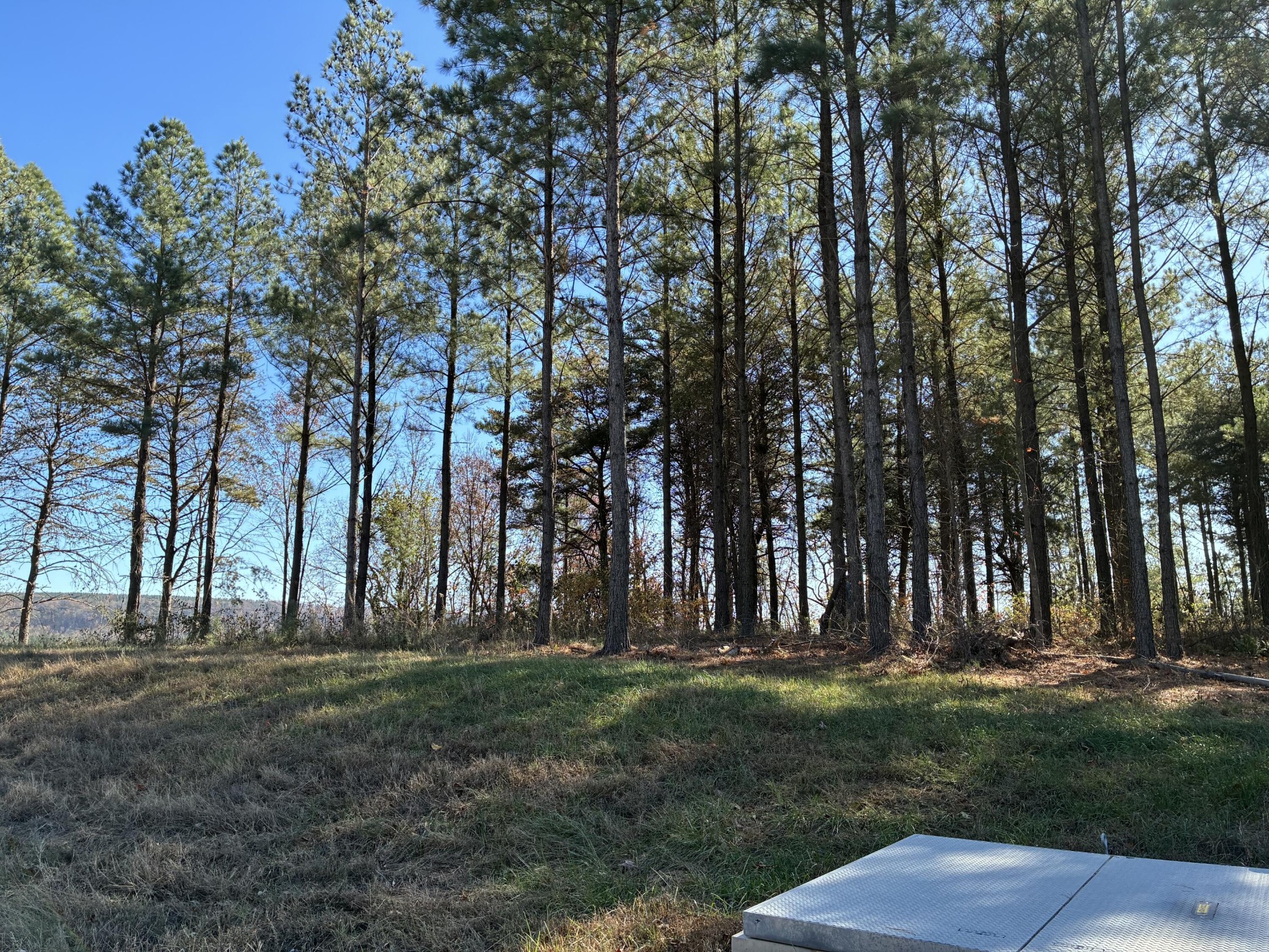 4690 Split Rail Way Property Photo 4